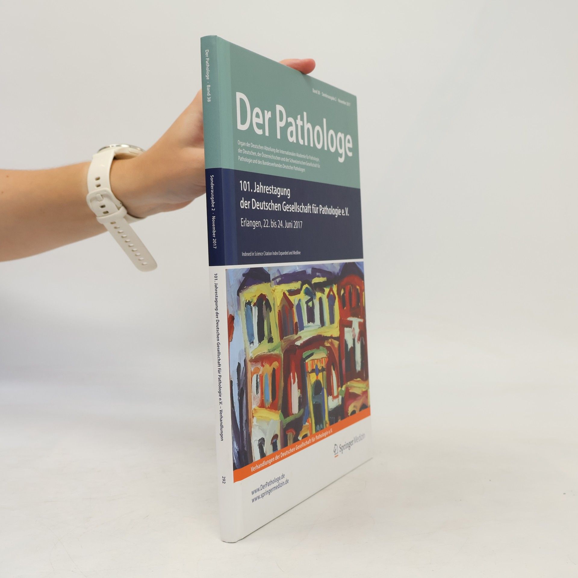 Kolektiv autorů Der Pathologe. Band 38