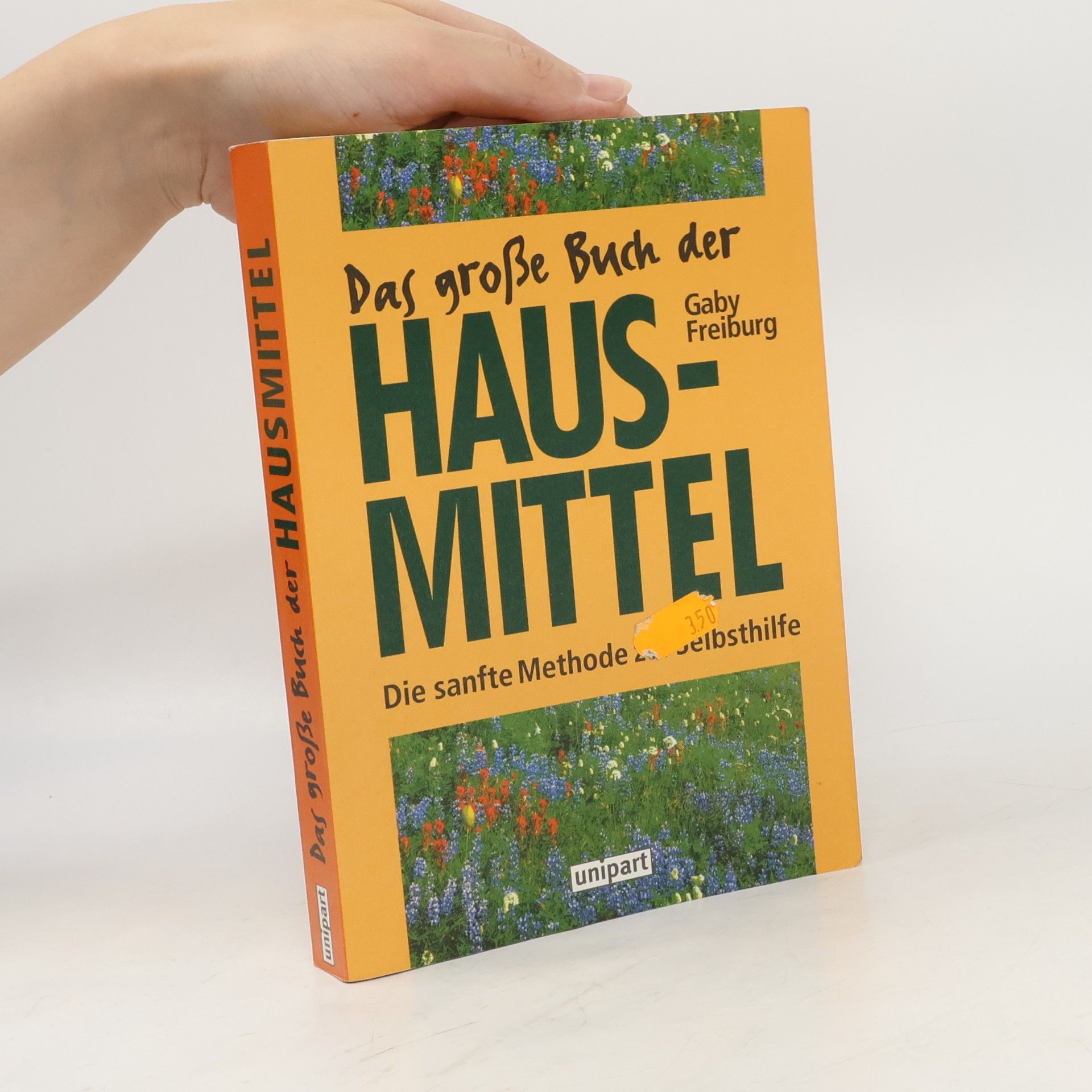 Gaby Freiburg Das große Buch der Hausmittel