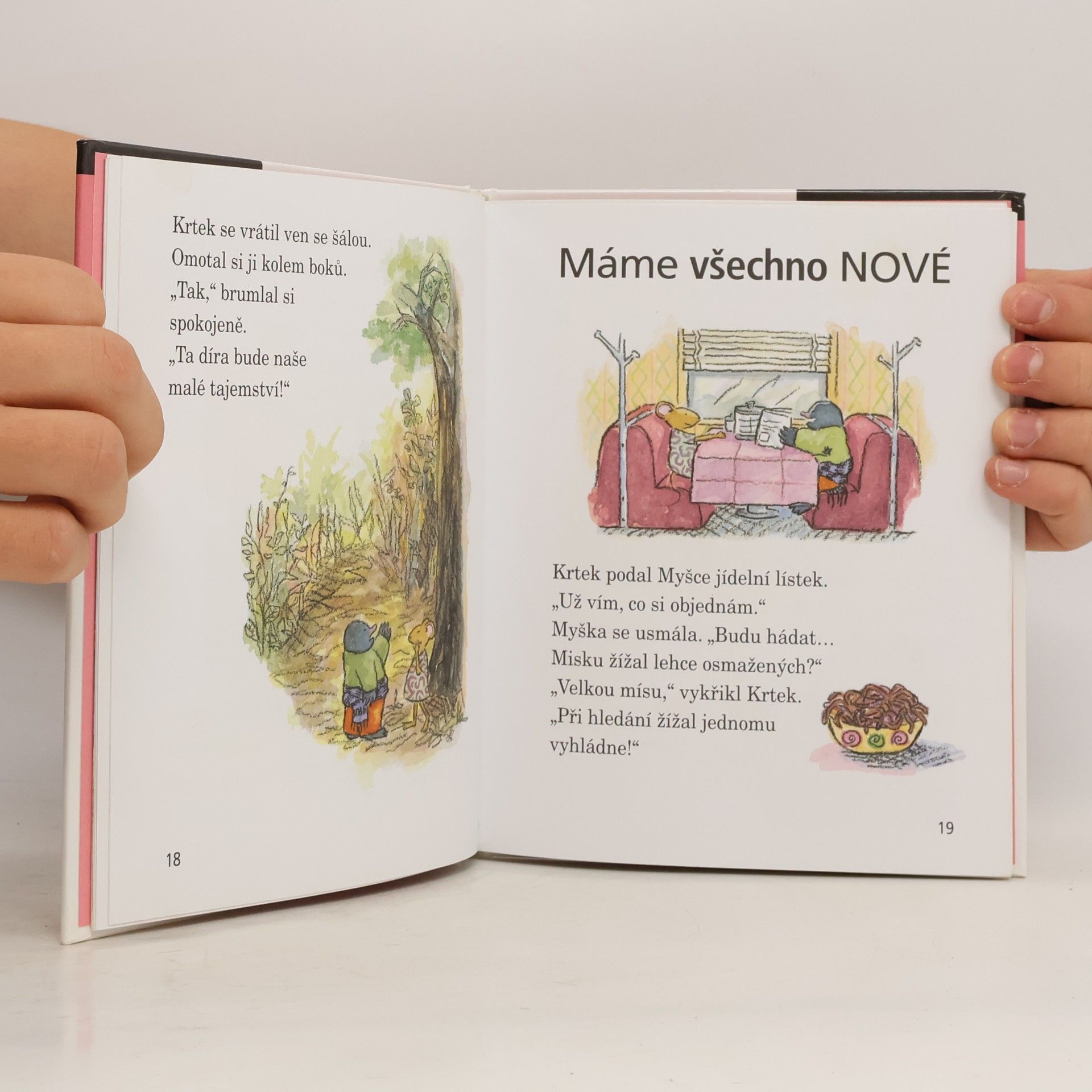 Wong Herbert Yee Myš a Krtek, zbrusu nový den