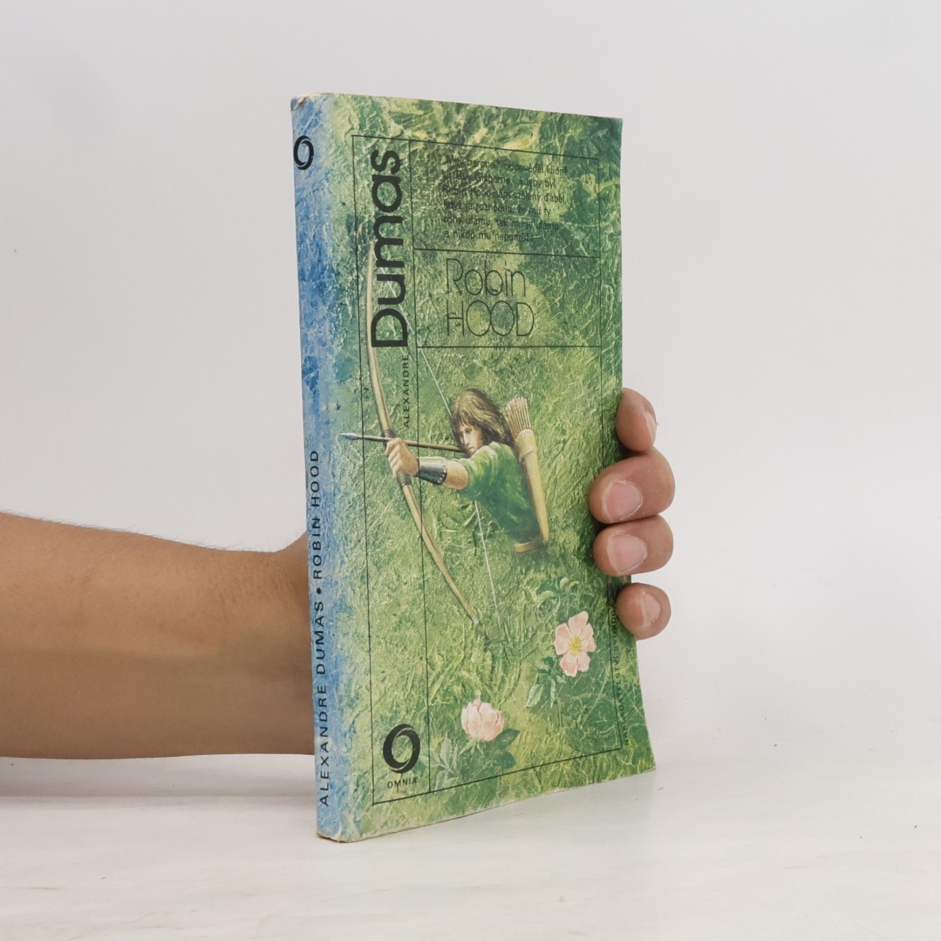 Alexandre Dumas der Ältere Robin Hood