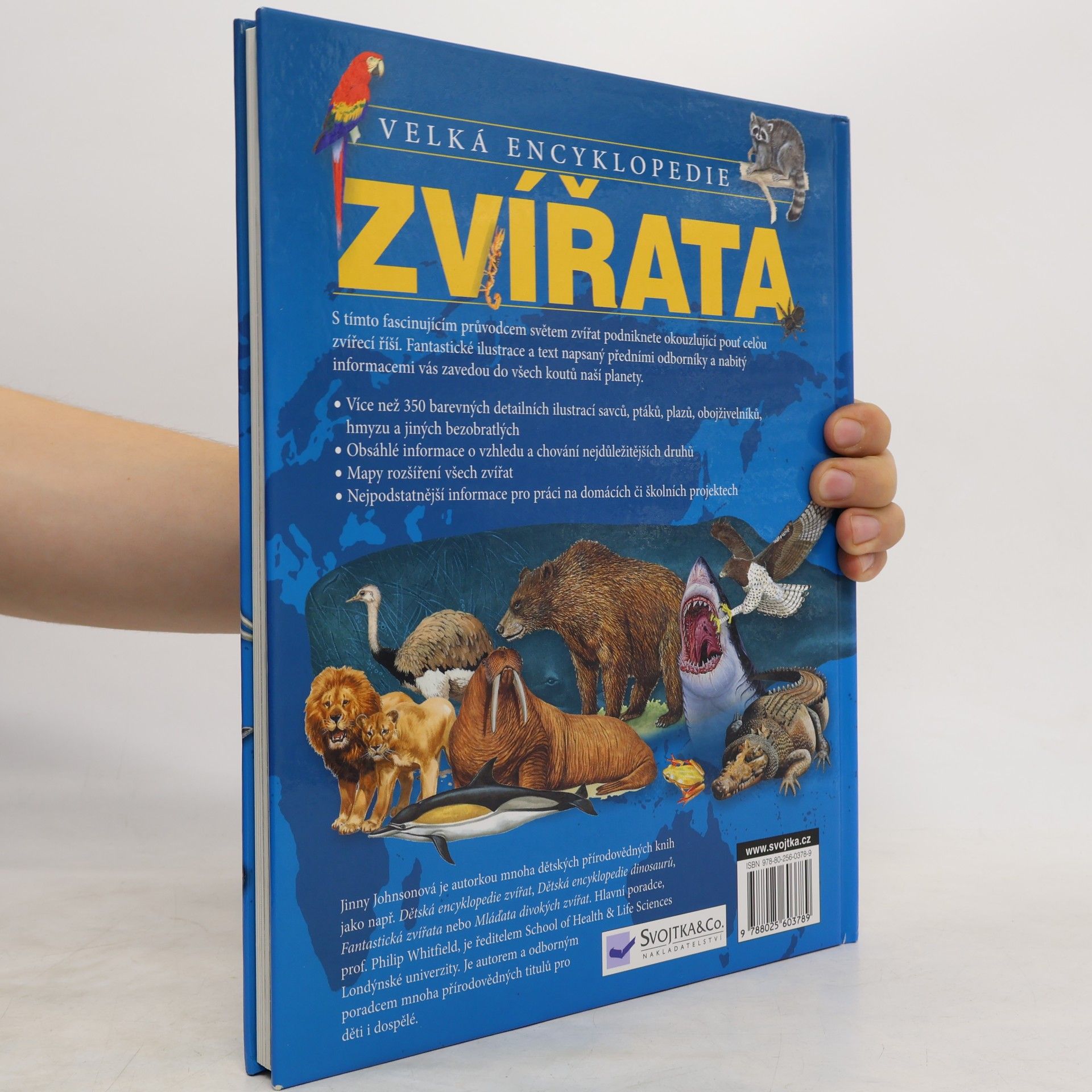 Jinny Johnson Zvířata