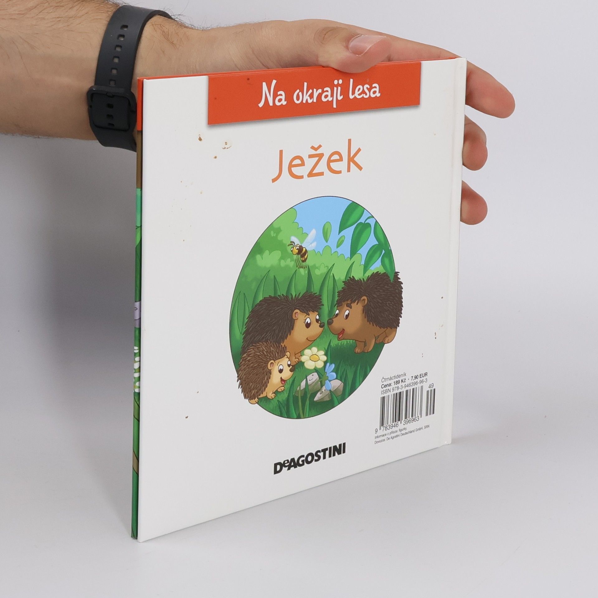 Kolektiv autorů Na kraji lesa 8. Ježek