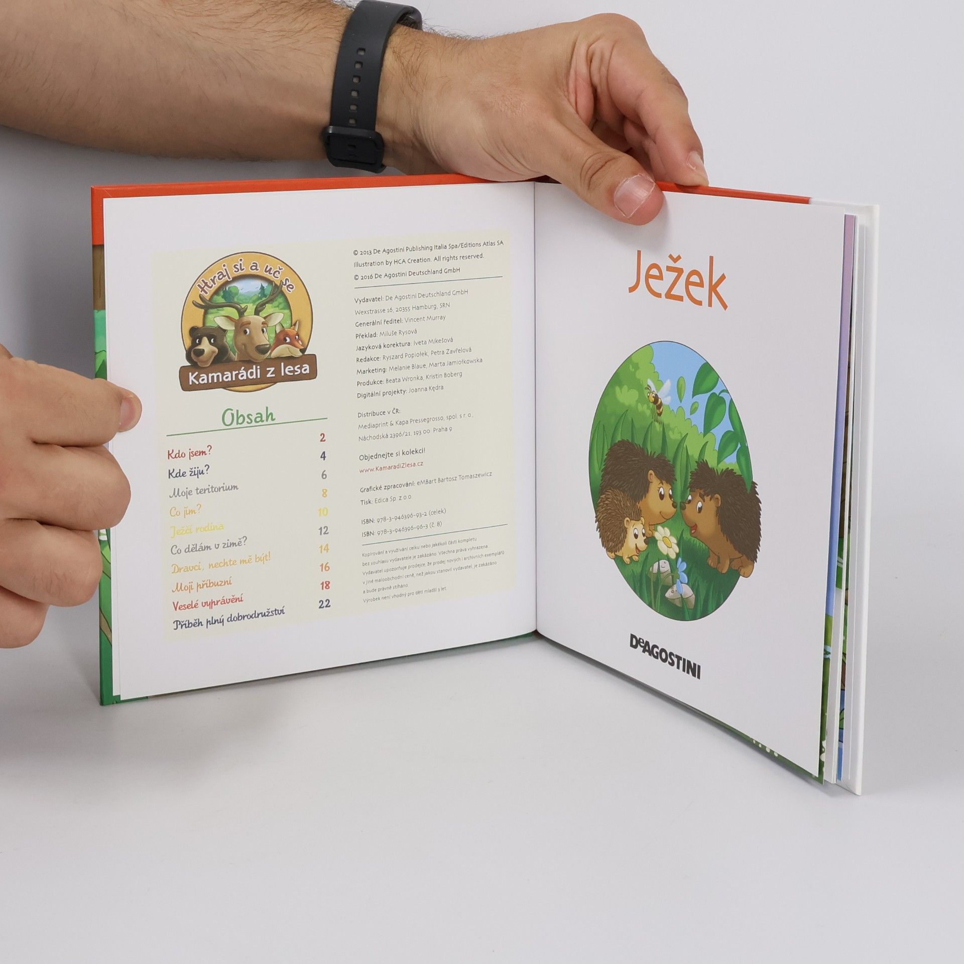 Kolektiv autorů Na kraji lesa 8. Ježek