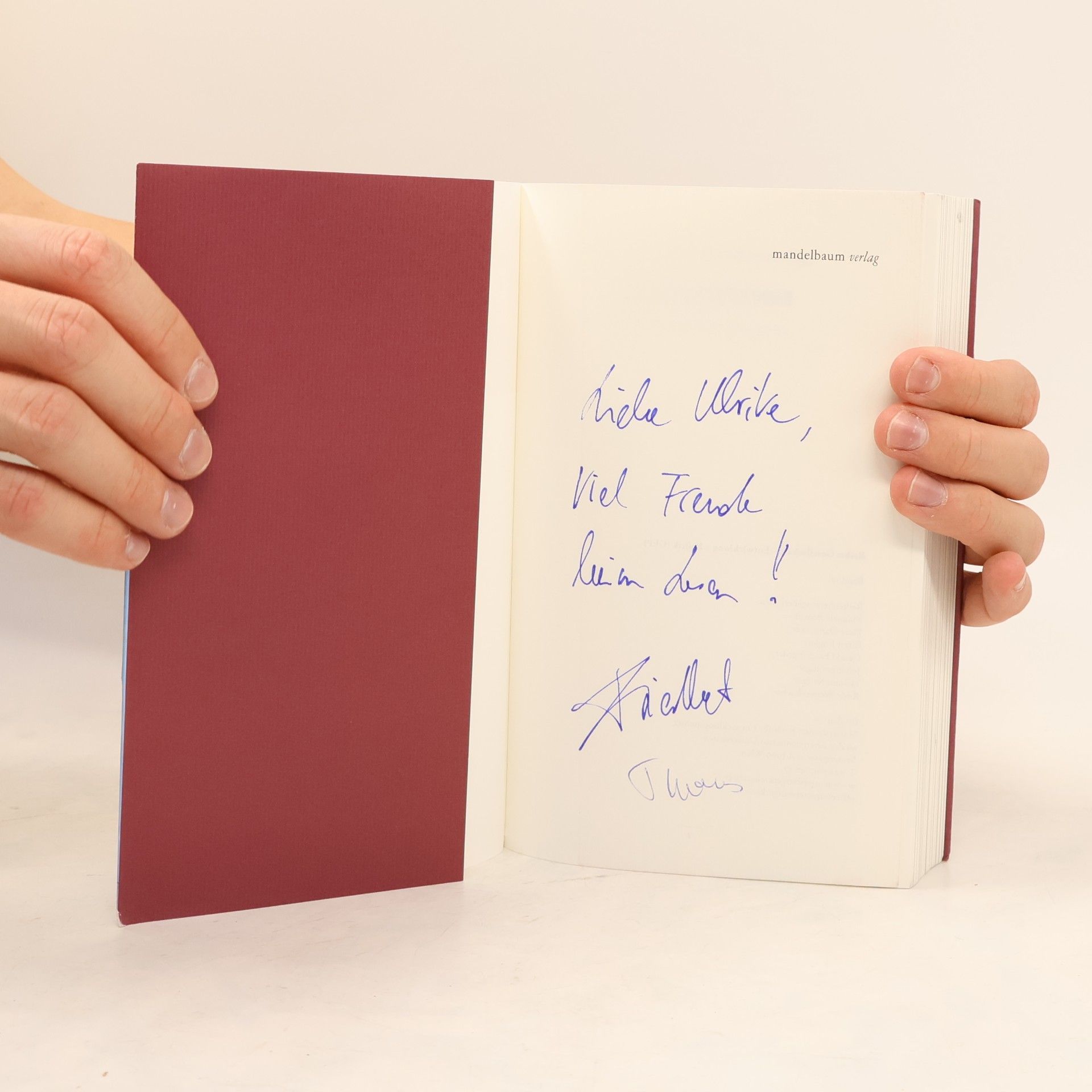 Lukas Schmidt Entwicklungstheorien