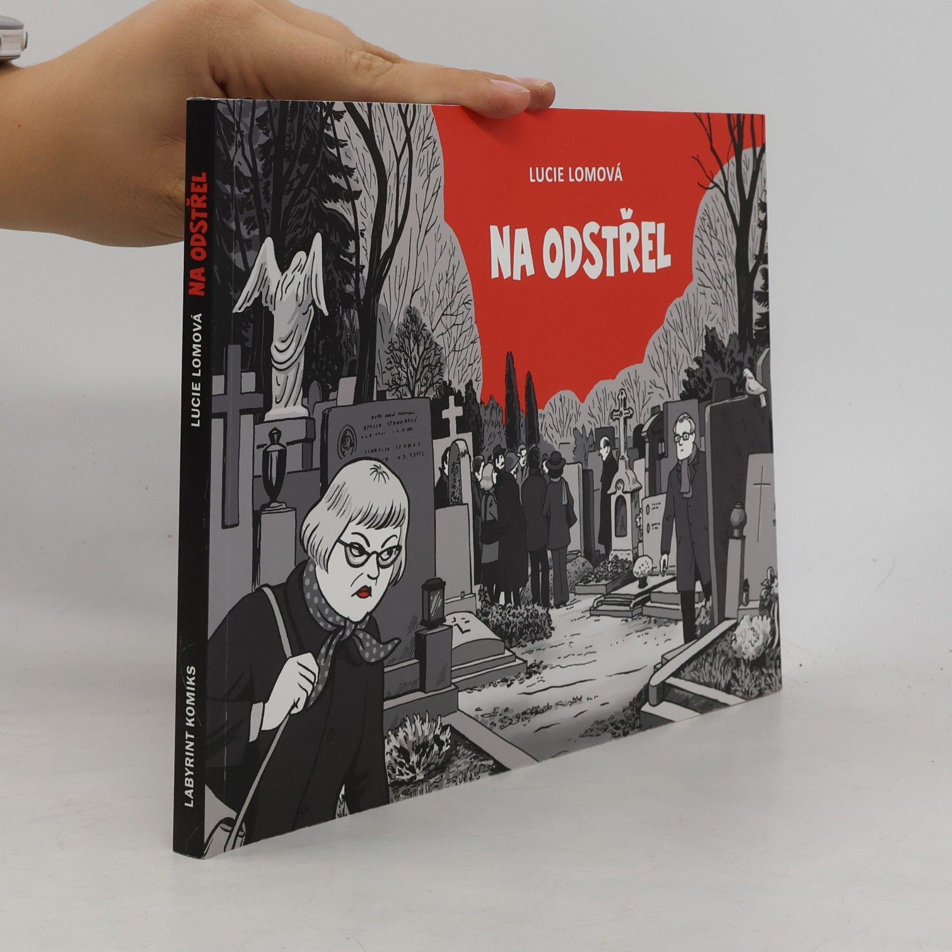 Lucie Lomová Na odstřel: Komiksová detektivka