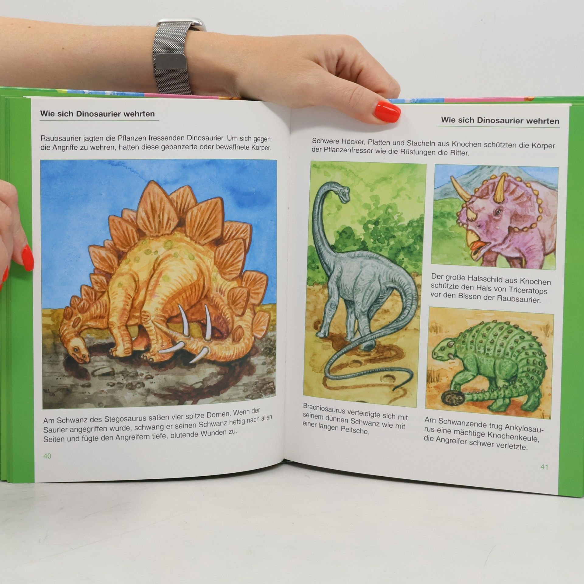 Various authors Mein buntes Kinderwissen. Dinosaurier