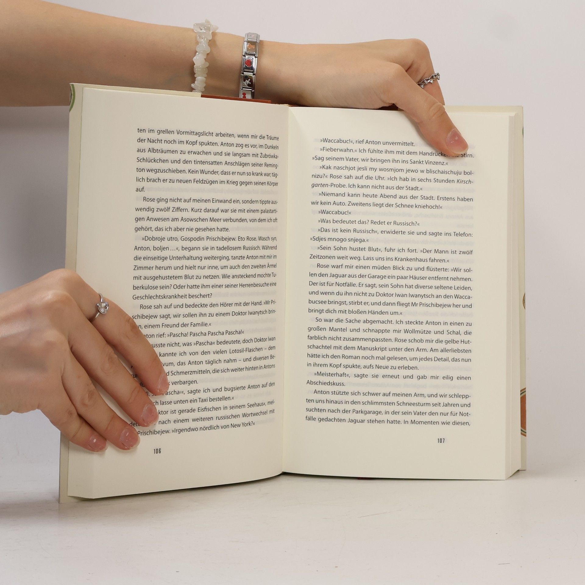 Kristopher Jansma Die Flecken des Leoparden