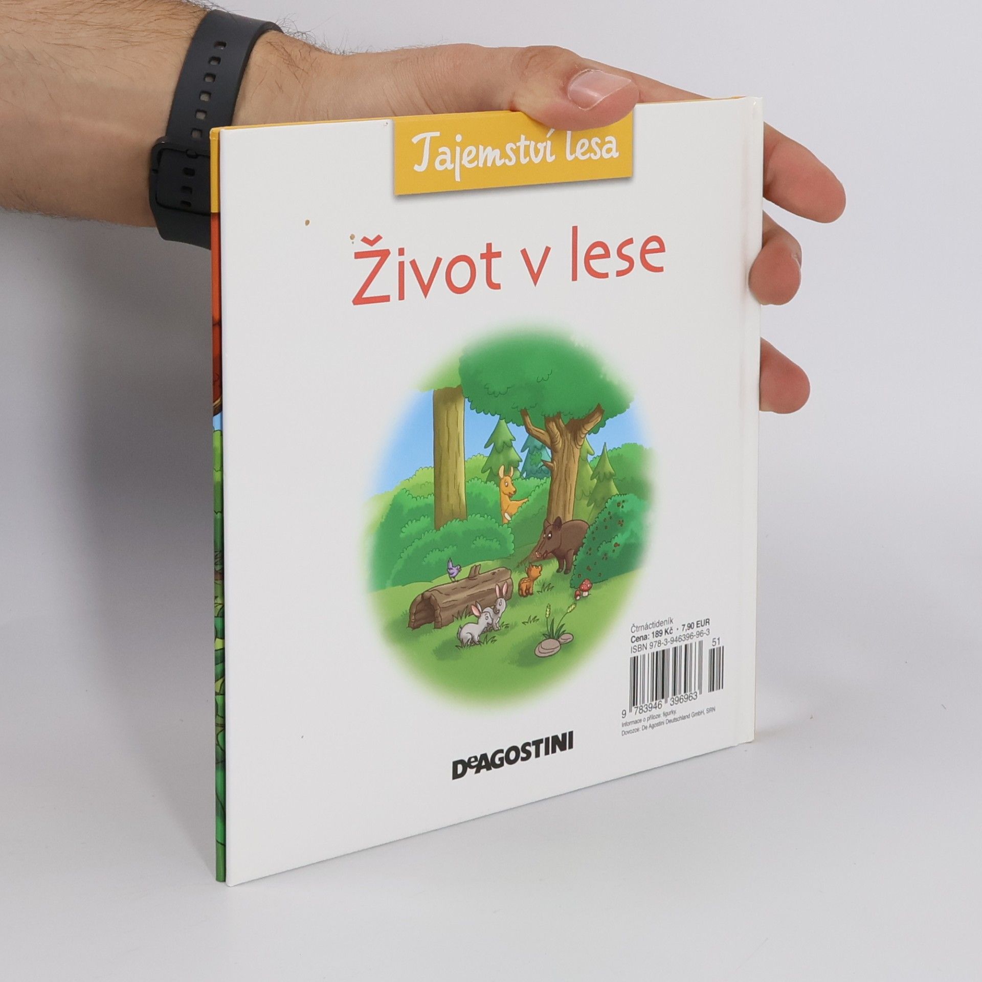 Collectif d'auteurs Tajemství lesa 9. Život v lese