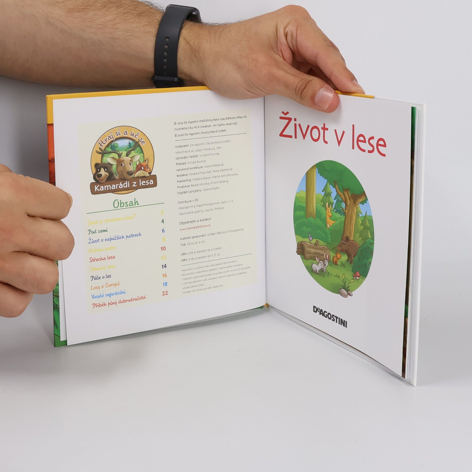 Collectif d'auteurs Tajemství lesa 9. Život v lese