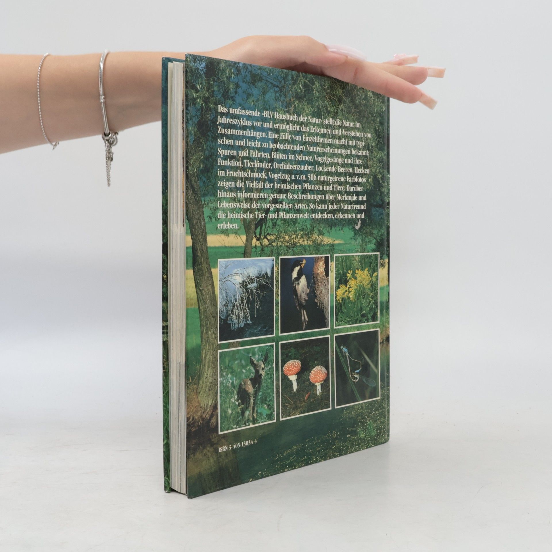 Michael Lohmann Das farbige BLV-Hausbuch der Natur