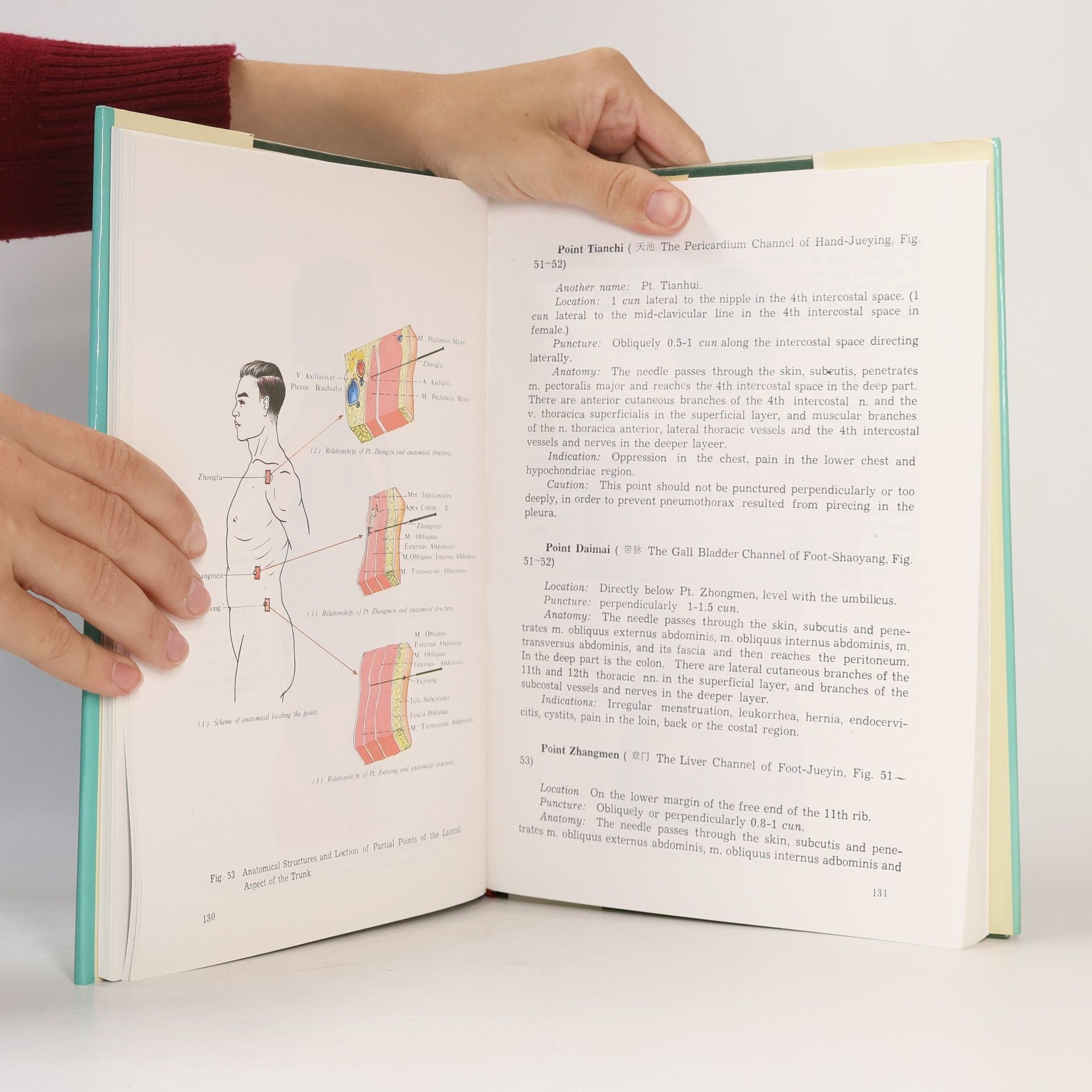 Jing Chen Anatomical Atlas of Chinese Acupuncture Points