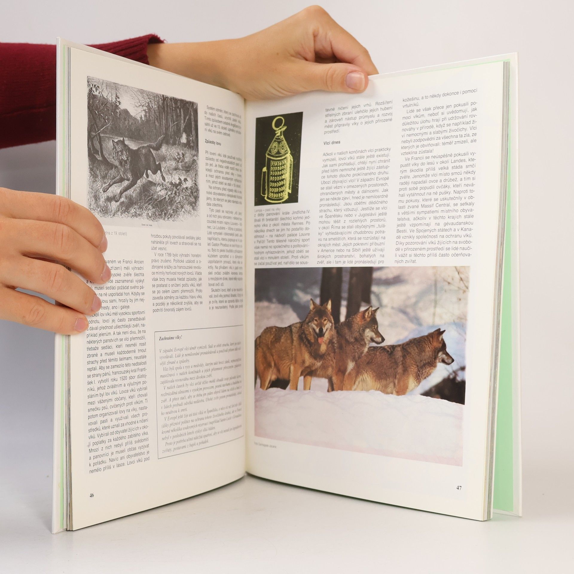 Various authors Mýty a legendy : vlci, draci, bájná zvířata