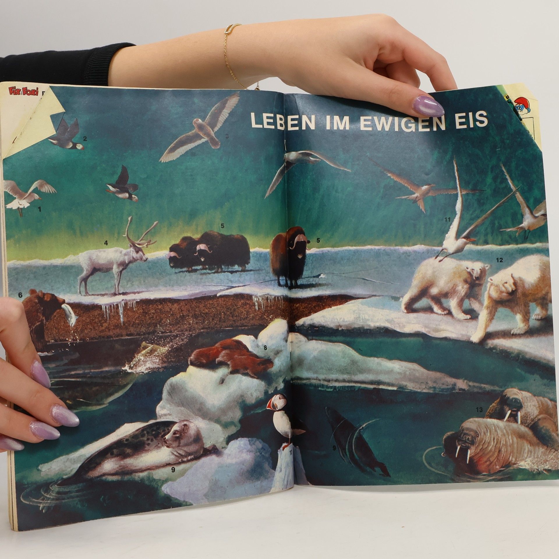 Rolf Kauka Fix und Foxi 12.