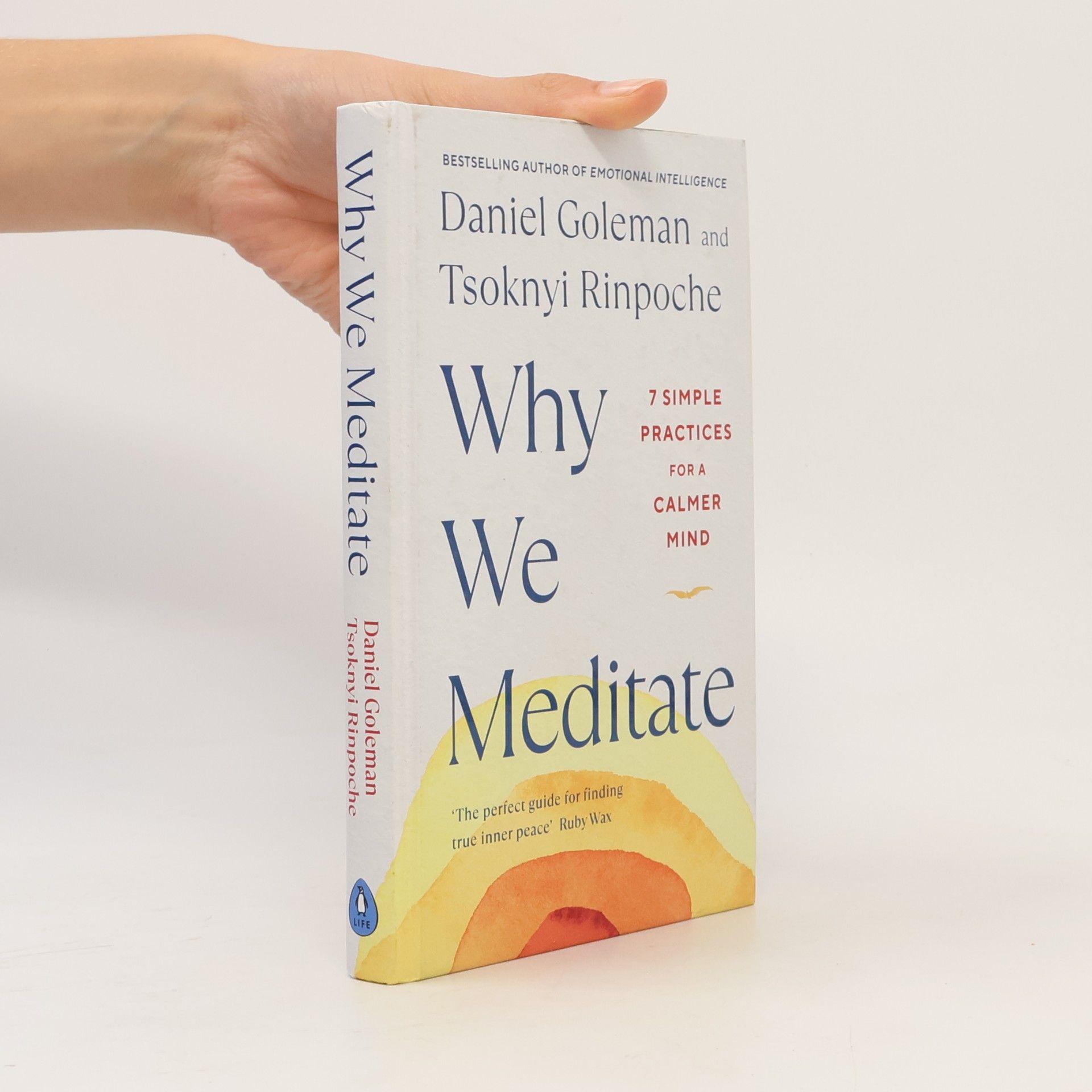 Daniel Goleman Why We Meditate