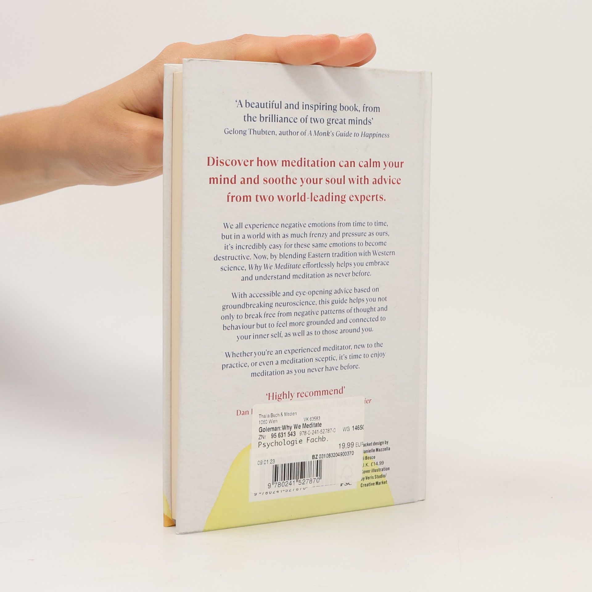 Daniel Goleman Why We Meditate