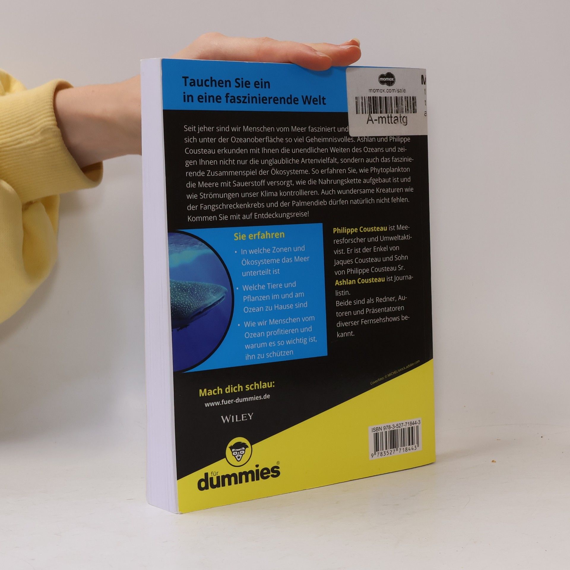 Ashlan Cousteau Ozeane für Dummies