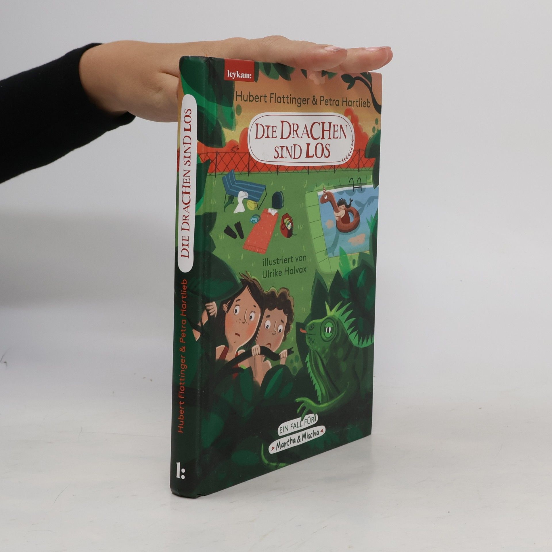 Ulrike Halvax Ein Fall für Martha & Mischa - 1: Die Drachen sind los
