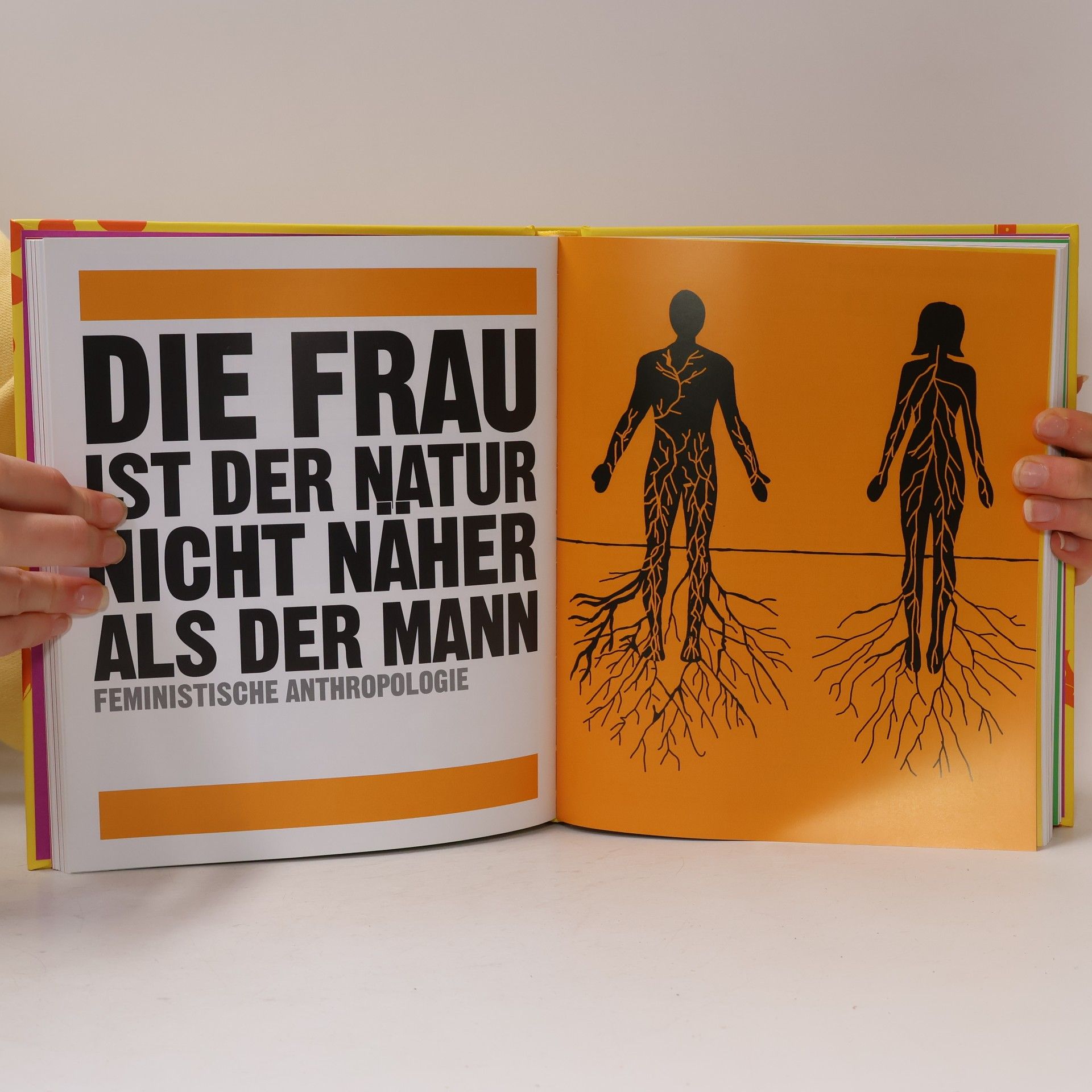 Miruna Achim Big Ideas Einfach Erklärt: Das Anthropologie-Buch