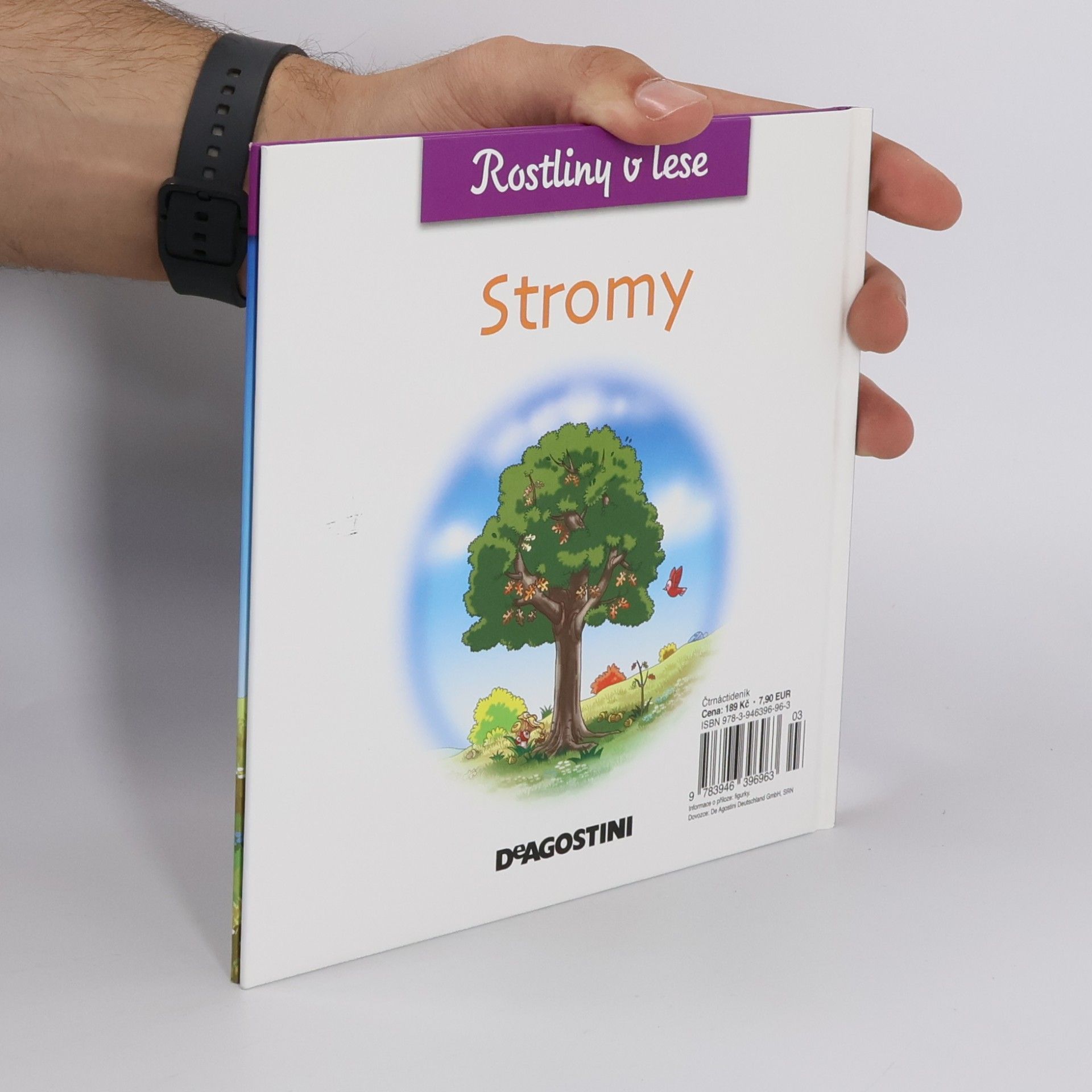 Kolektiv autorů Rostliny v lese 11. Stromy