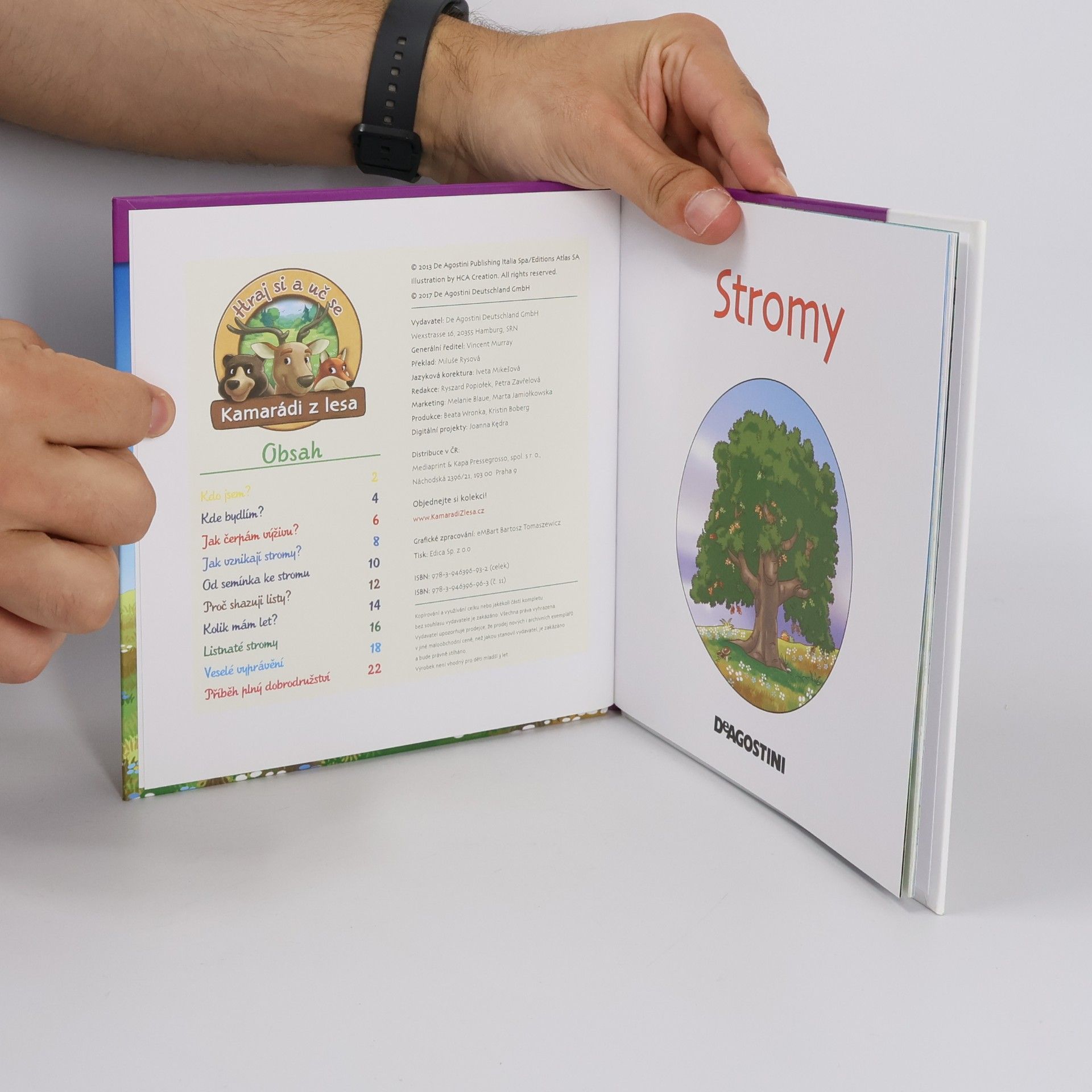 Kolektiv autorů Rostliny v lese 11. Stromy