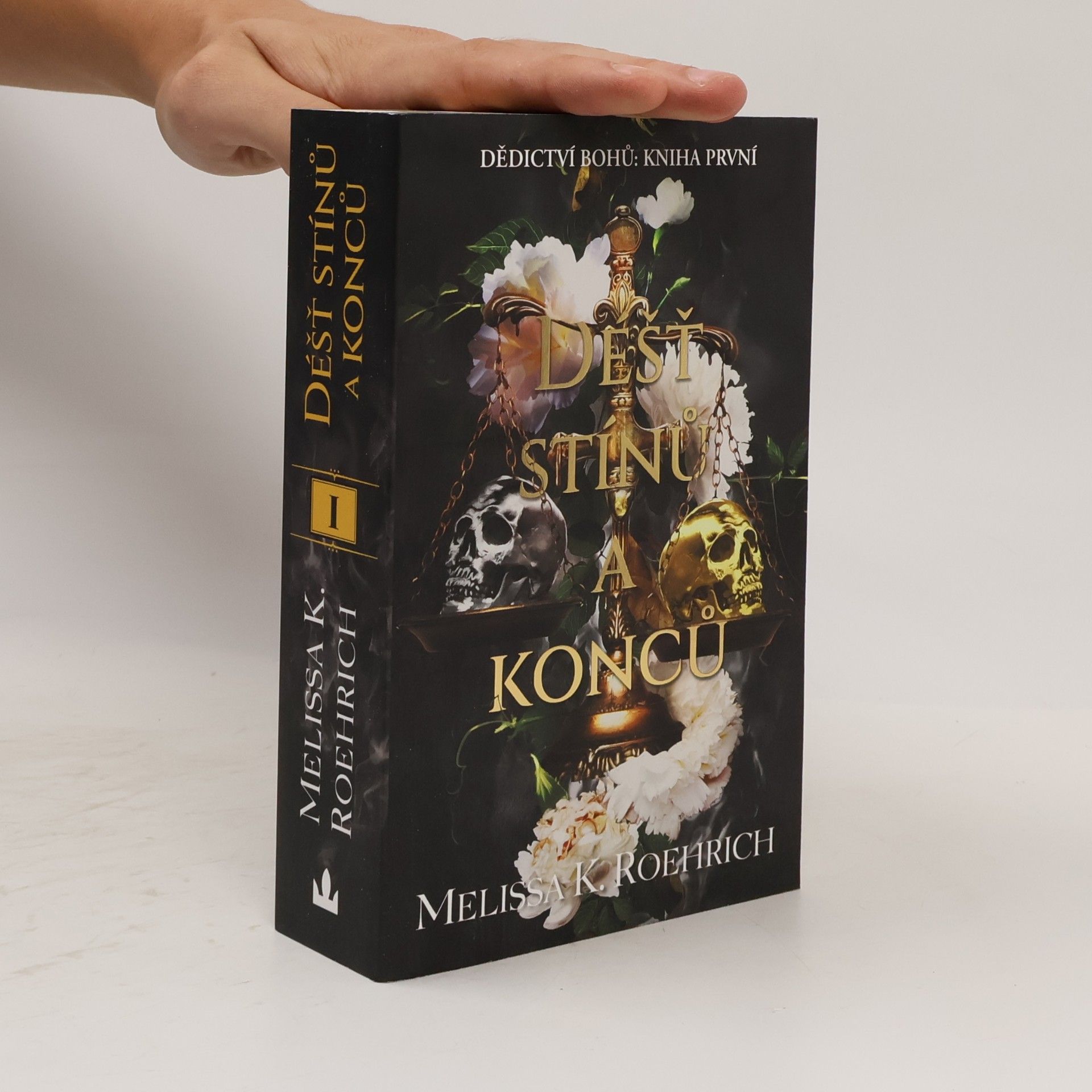 Melissa K. Roehrich Déšť stínů a konců