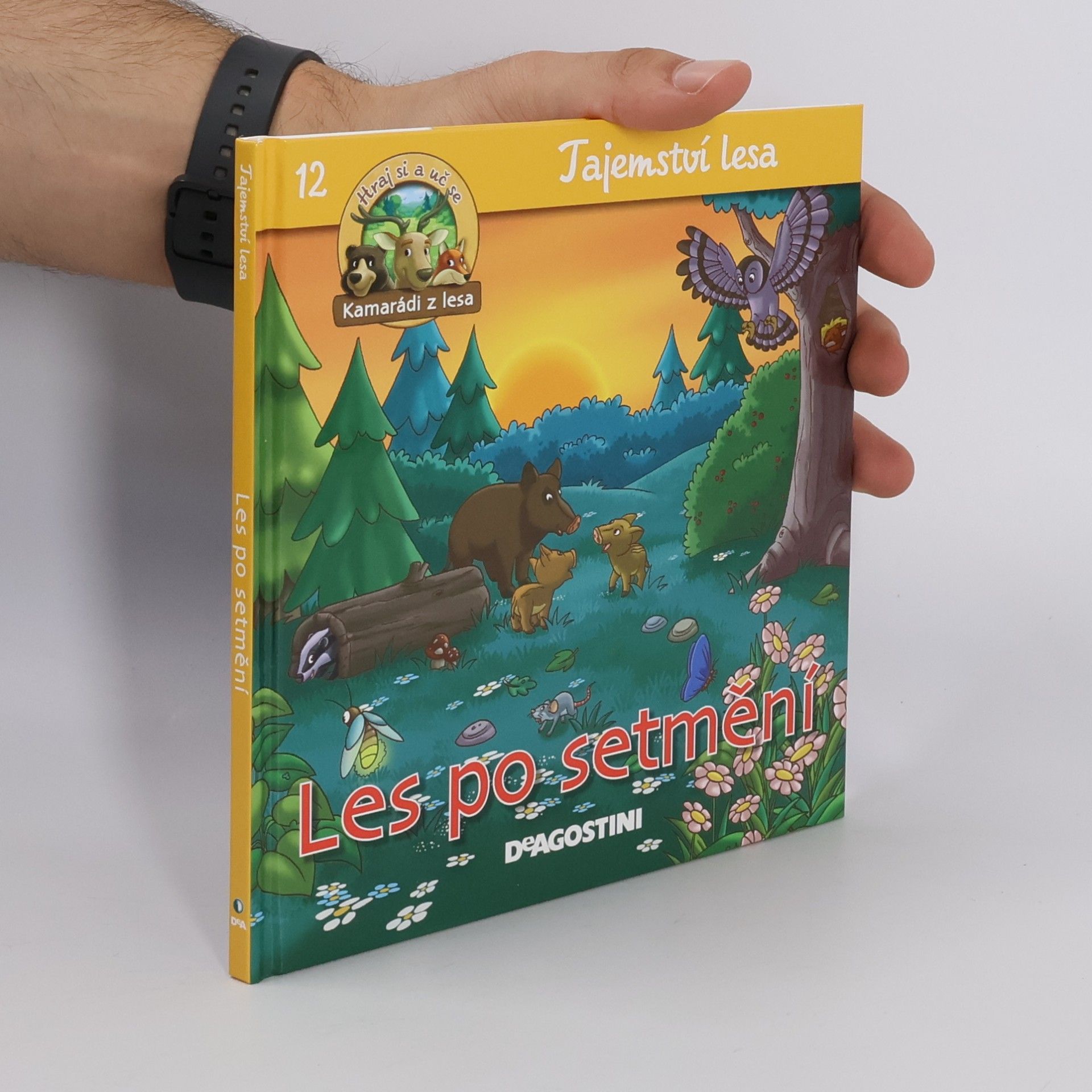 kolektiv Tajemství lesa 12. Les po setmění