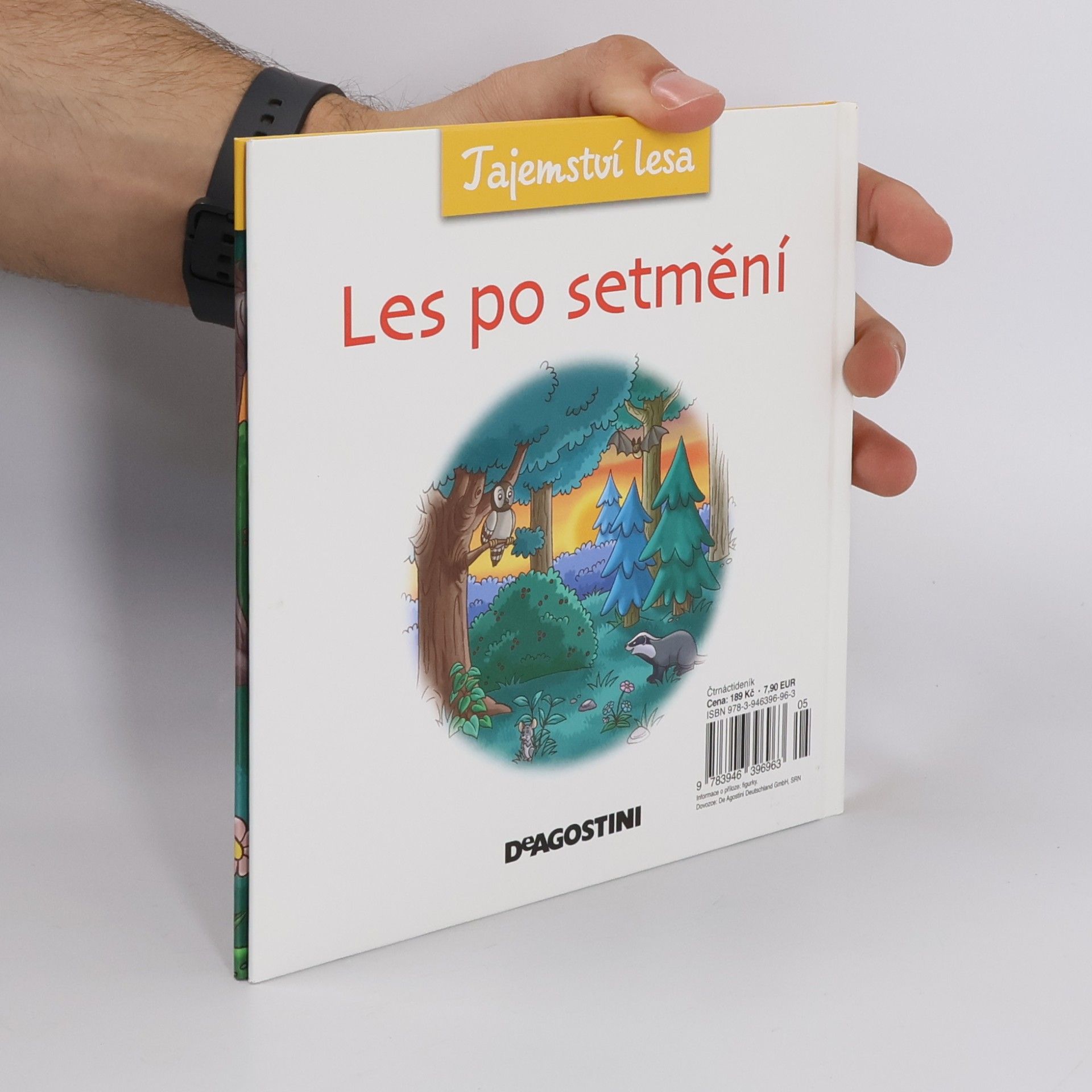 Kolektiv autorů Tajemství lesa 12. Les po setmění