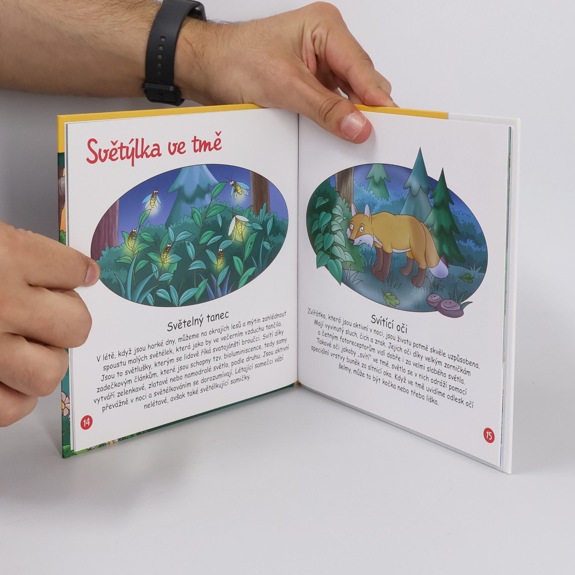 Kolektiv autorů Tajemství lesa 12. Les po setmění