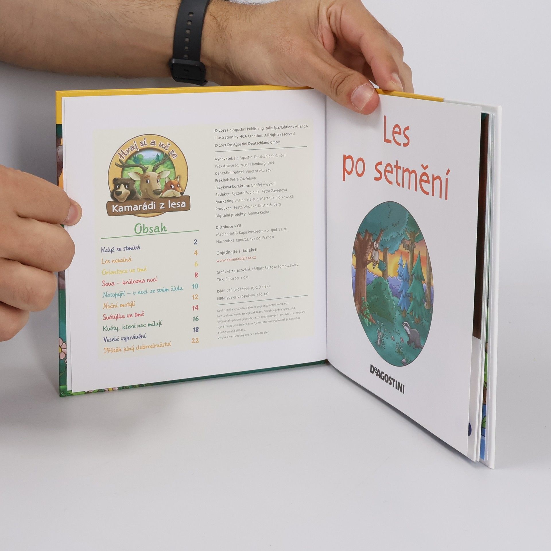 Kolektiv autorů Tajemství lesa 12. Les po setmění