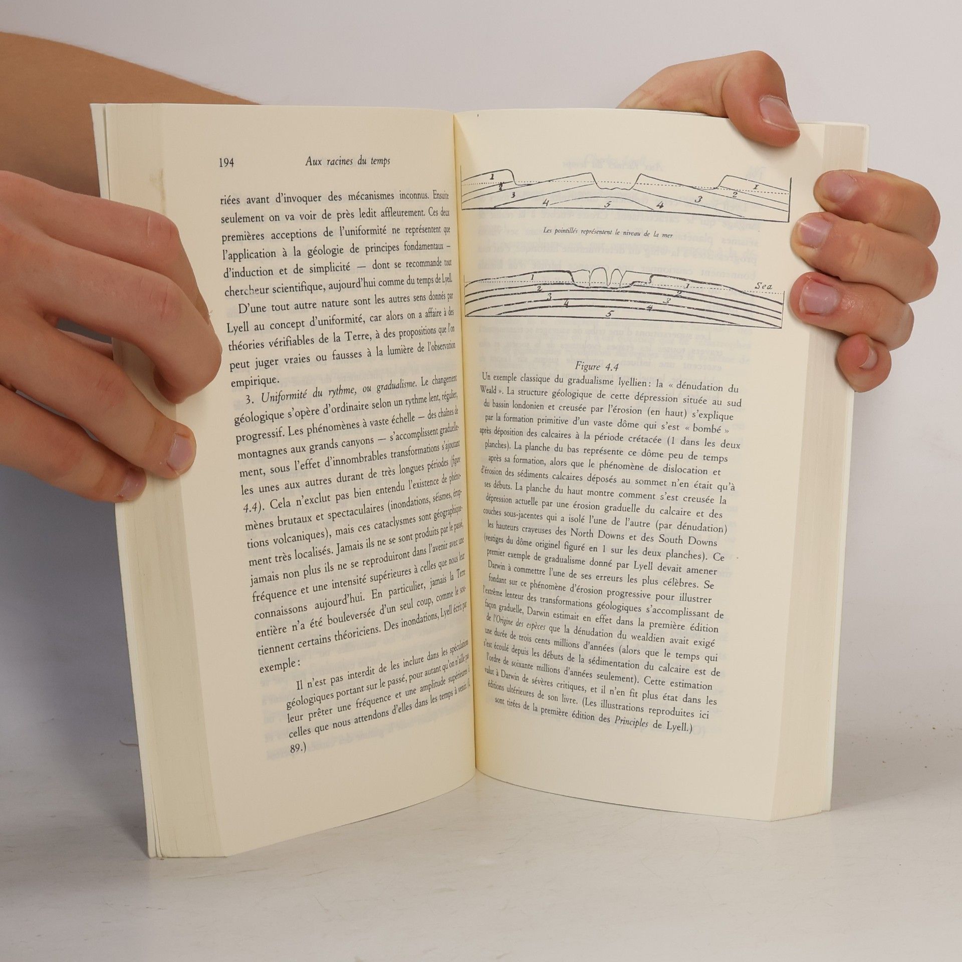 Stephen Jay Gould Aux racines du temps