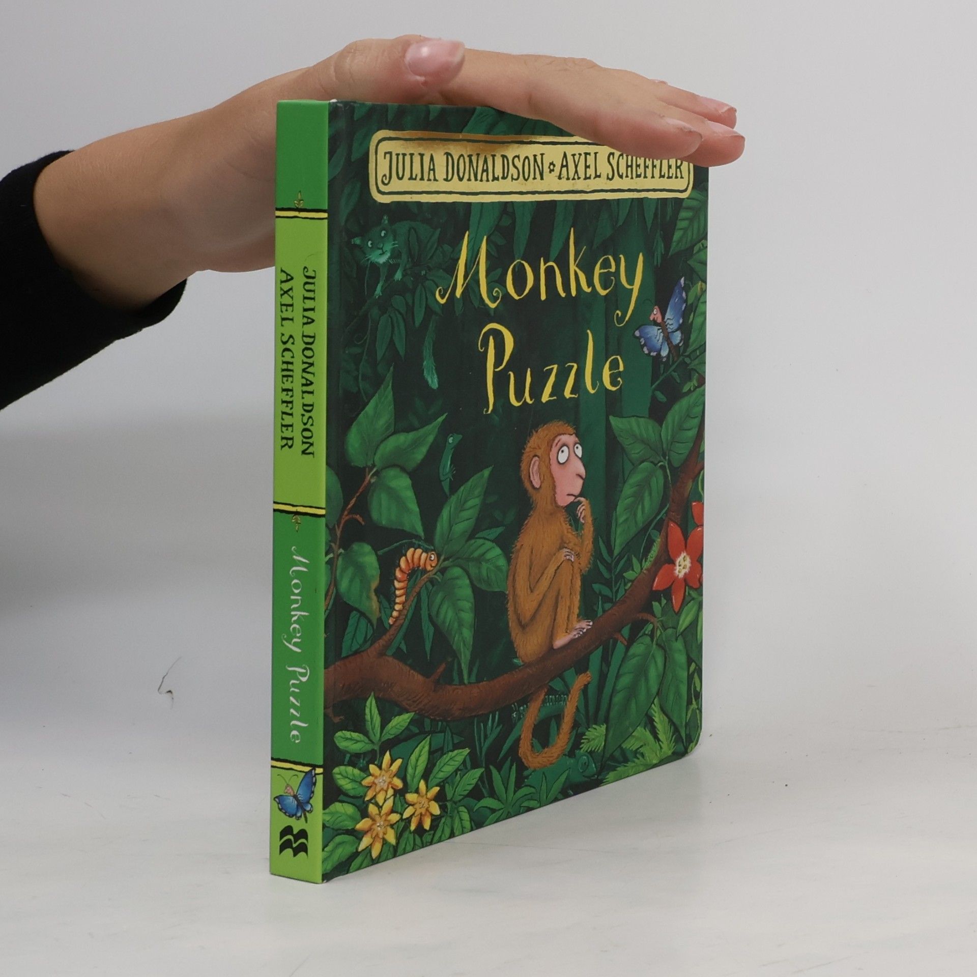 Julia Donaldson Monkey Puzzle