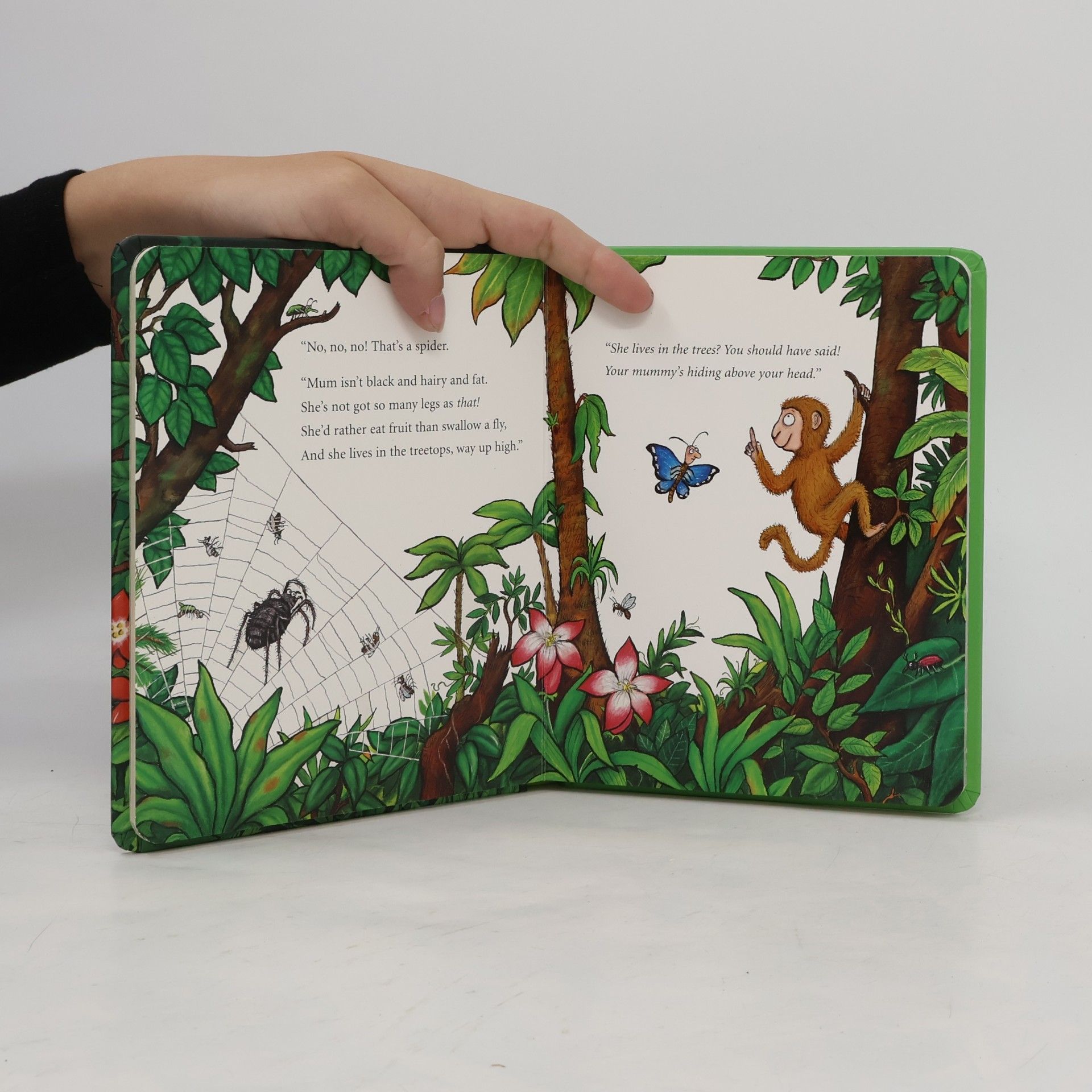 Julia Donaldson Monkey Puzzle