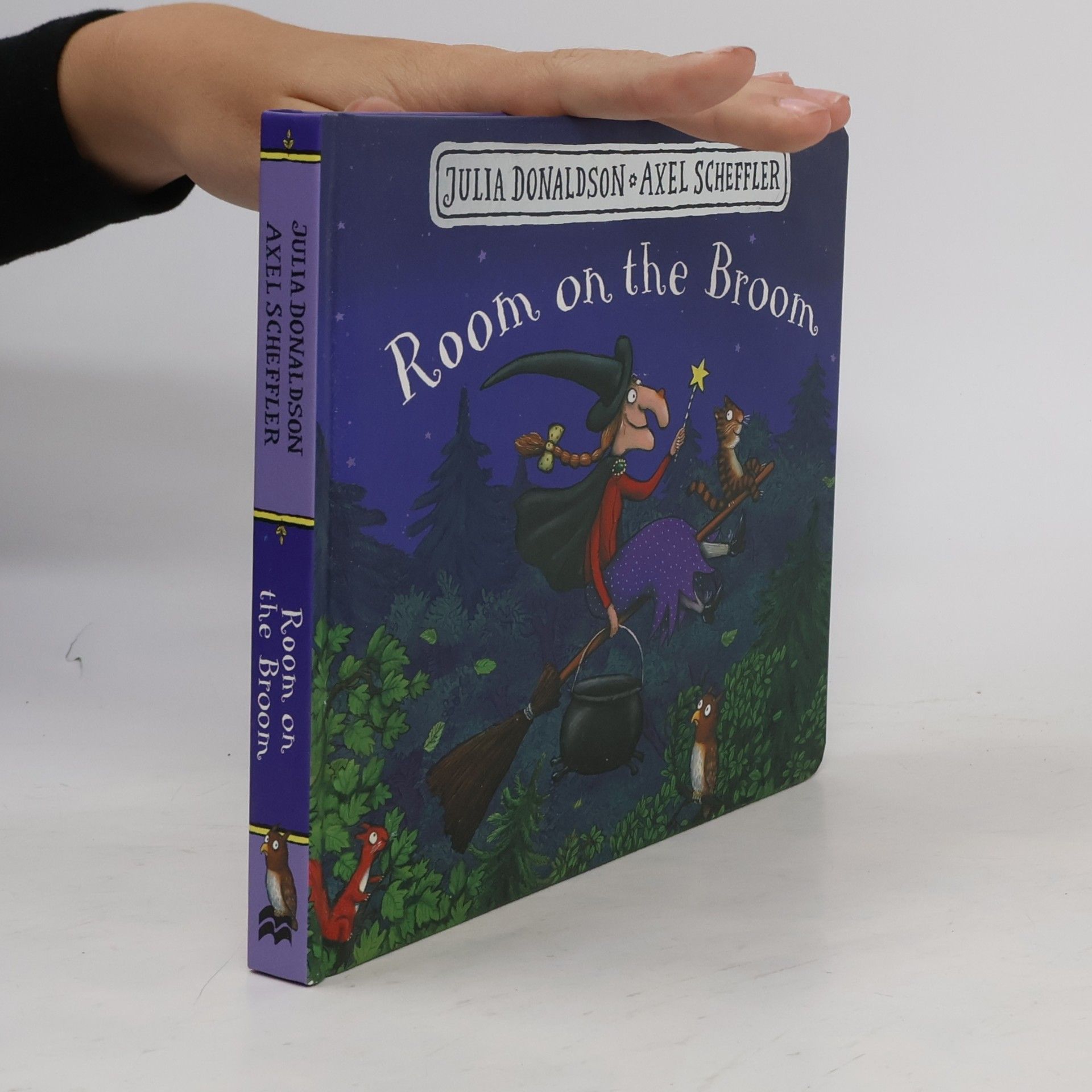 Julia Donaldson Room on the Broom