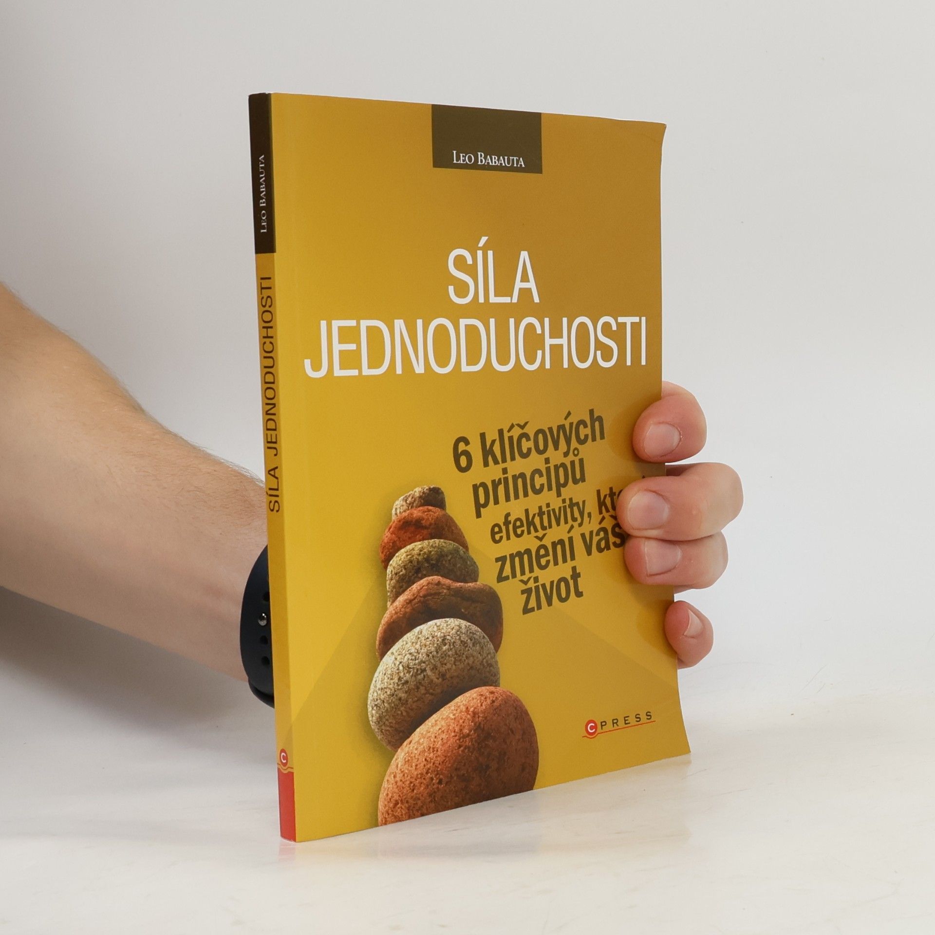 Síla jednoduchosti. 6 klíčových principů efektivity, které změní váš život