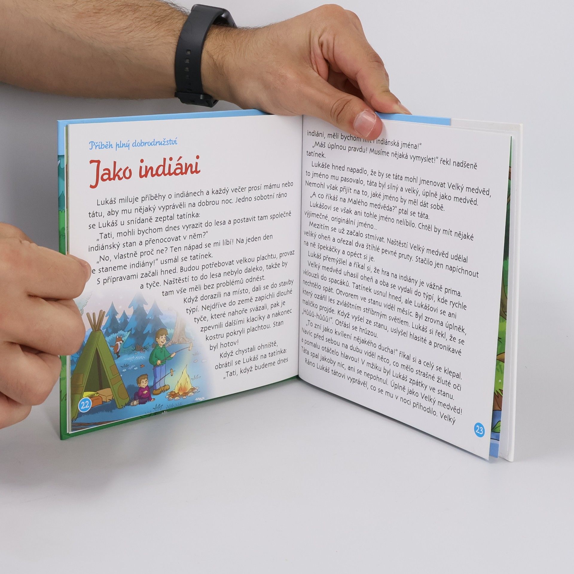 Autorenkollektiv Chráníme les 13. Lesní dobrodružství