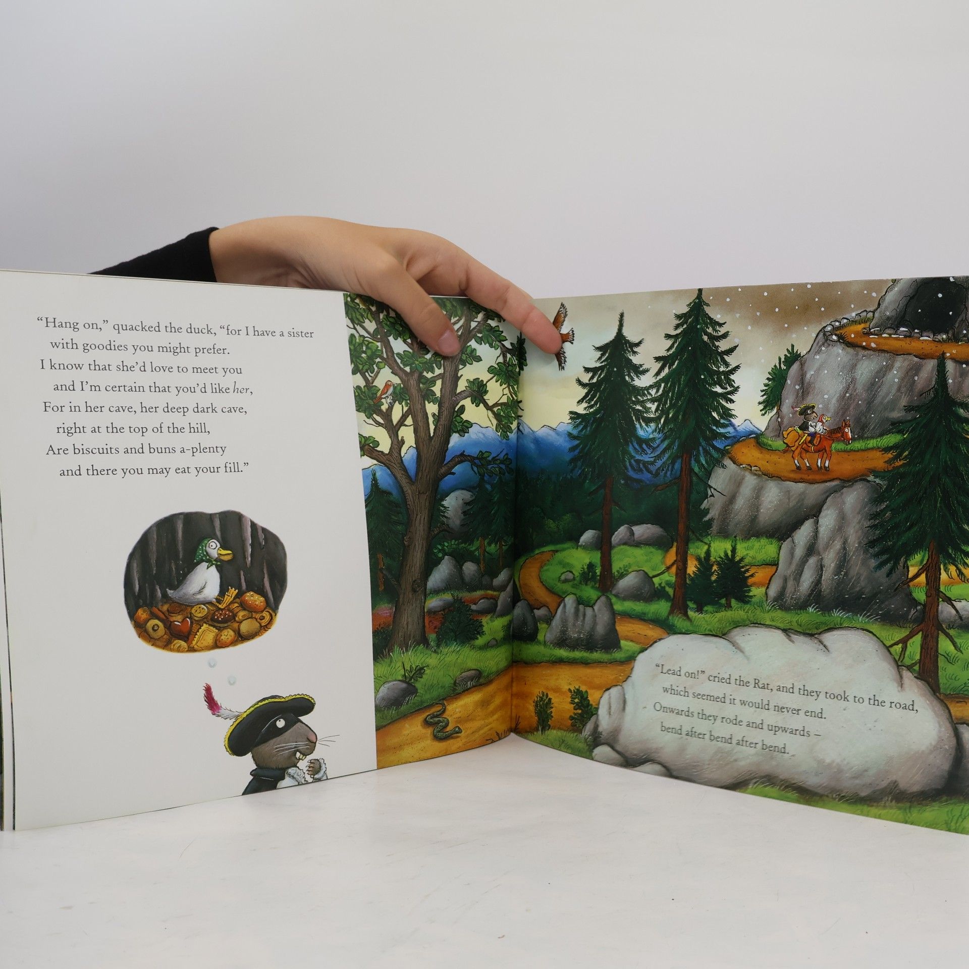 Julia Donaldson The Highway Rat