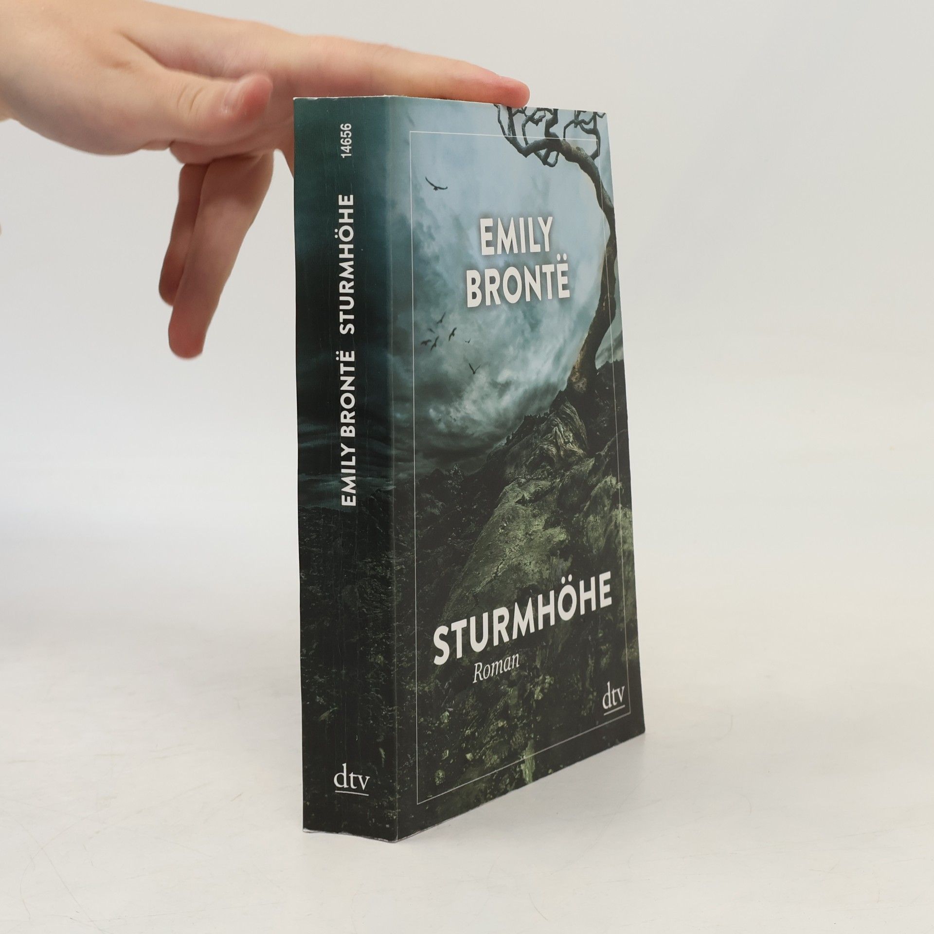 Emily Brontë Sturmhöhe
