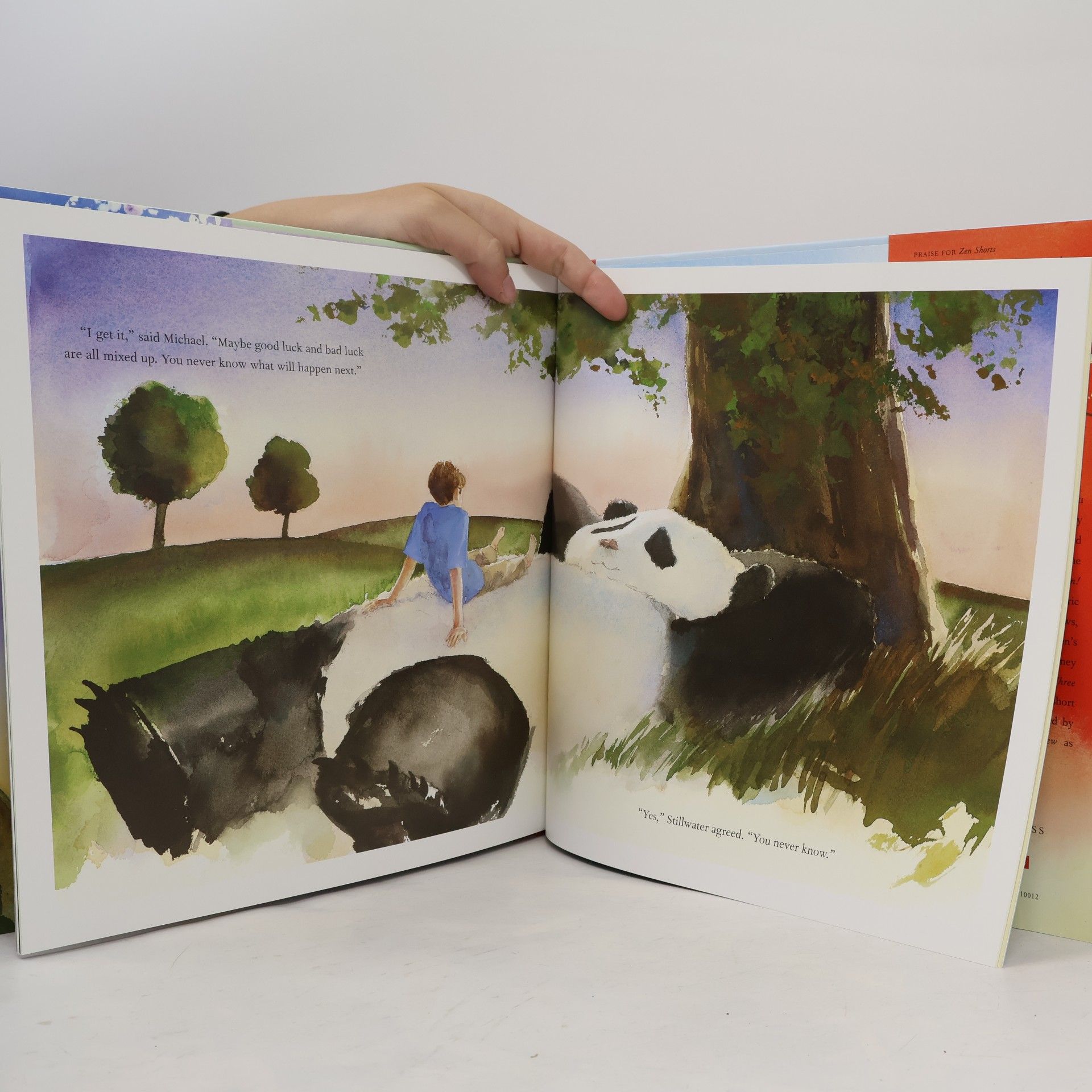 Jon J. Muth Stillwater and Friends Book: Zen Shorts