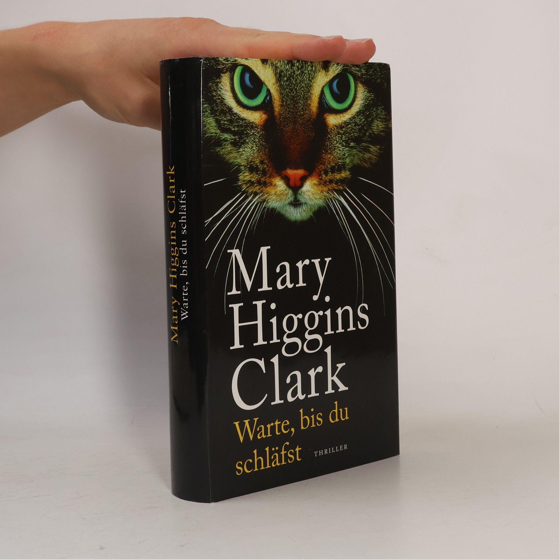 Mary Higgins Clark Warte bis du schläfst