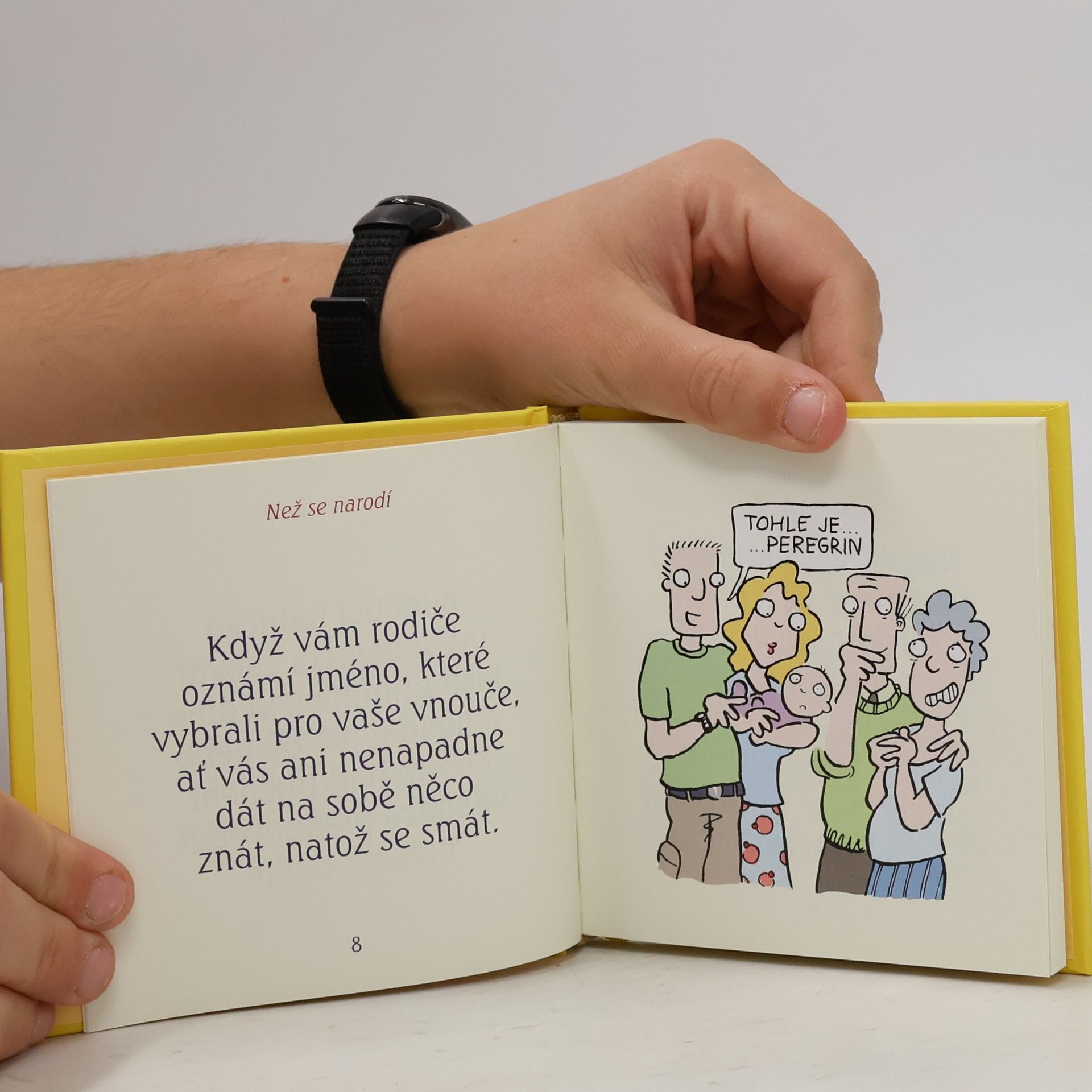 Simon Brett Jak na prevíta: Rady pro babičky a dědečky