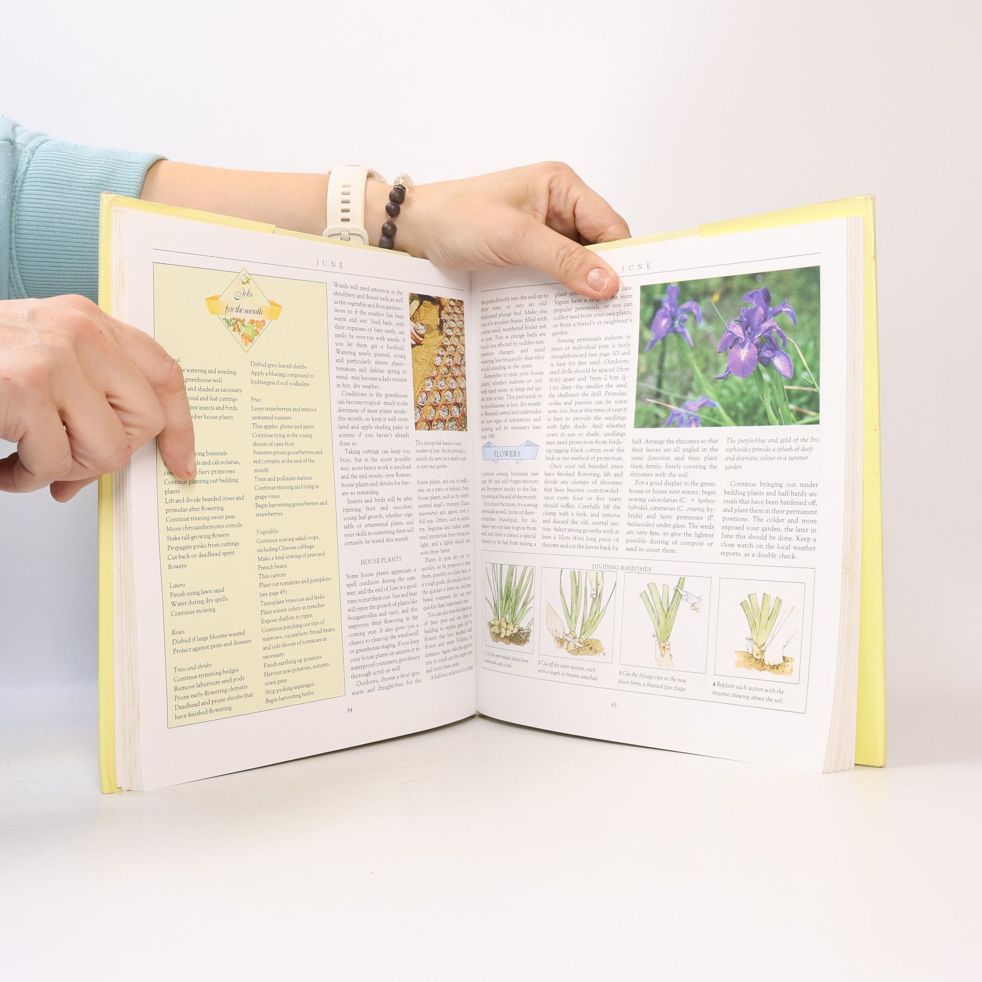Hazel Evans Gardening through the year