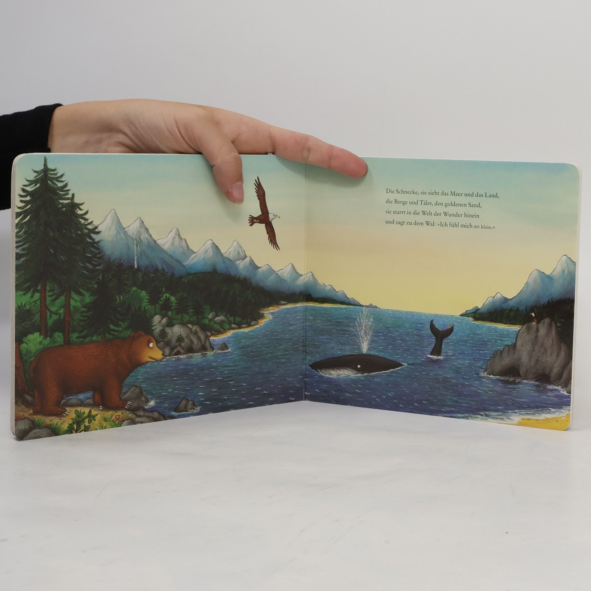 Axel Scheffler Die Schnecke und der Buckelwal
