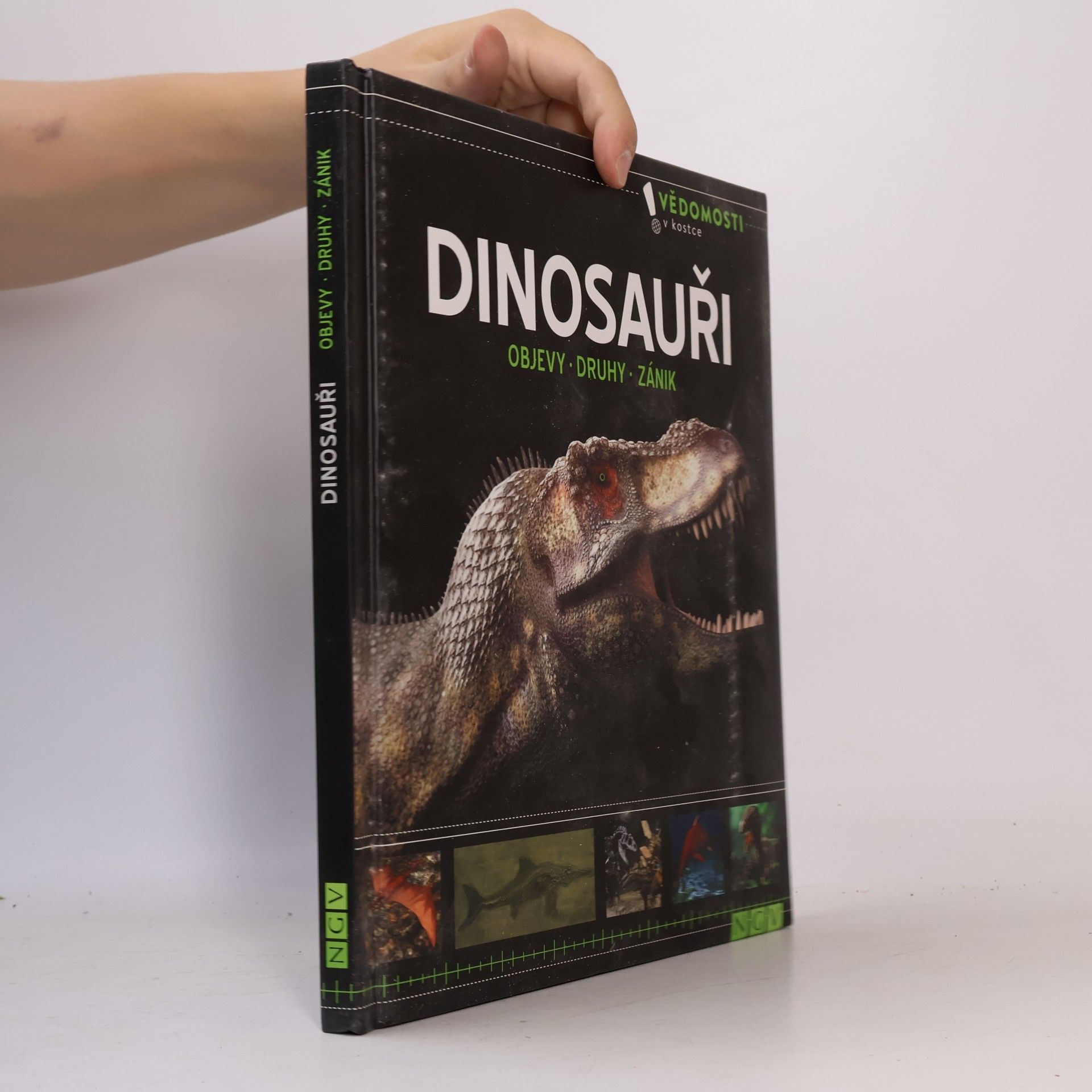 Kolektiv autorů Dinosauři