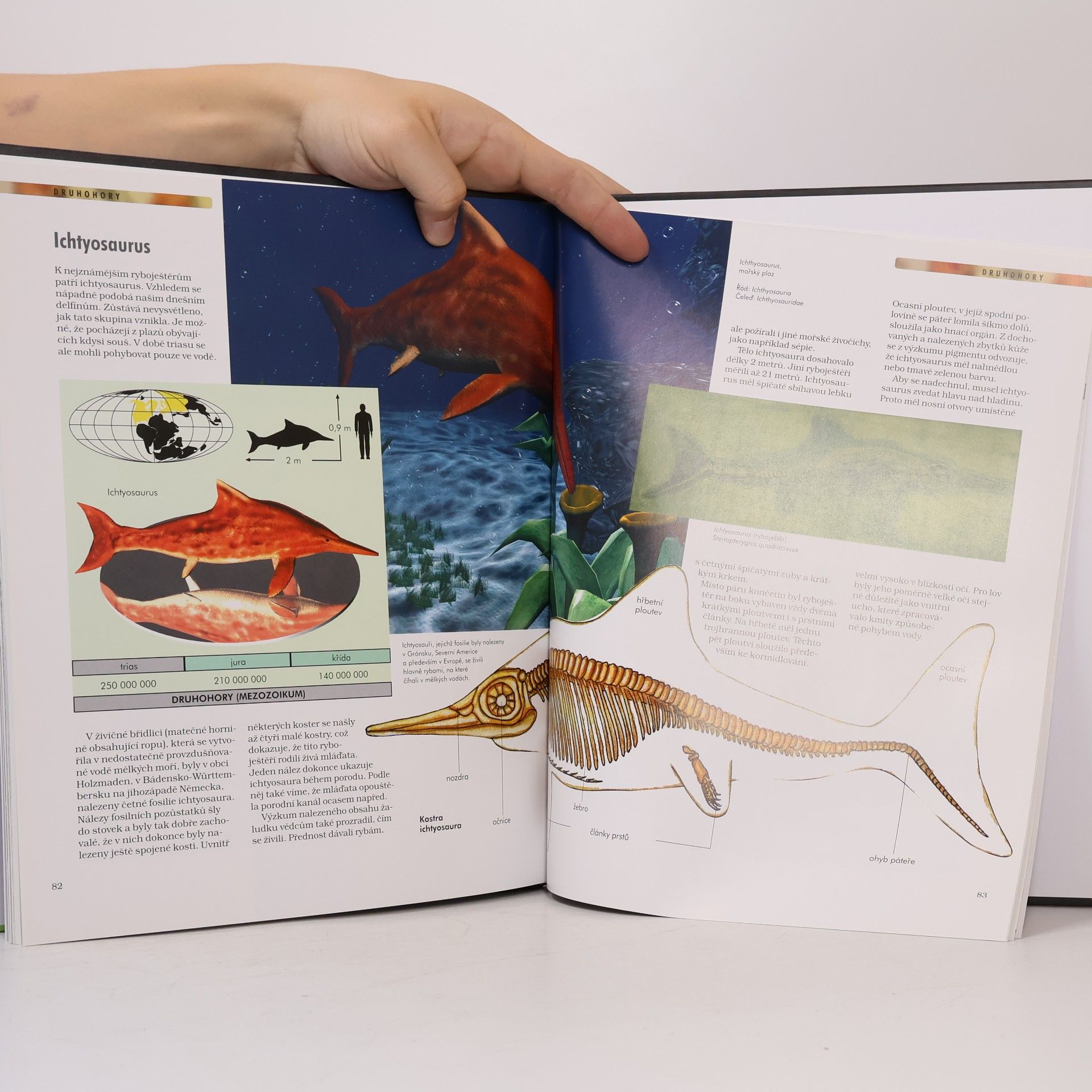 Kolektiv autorů Dinosauři