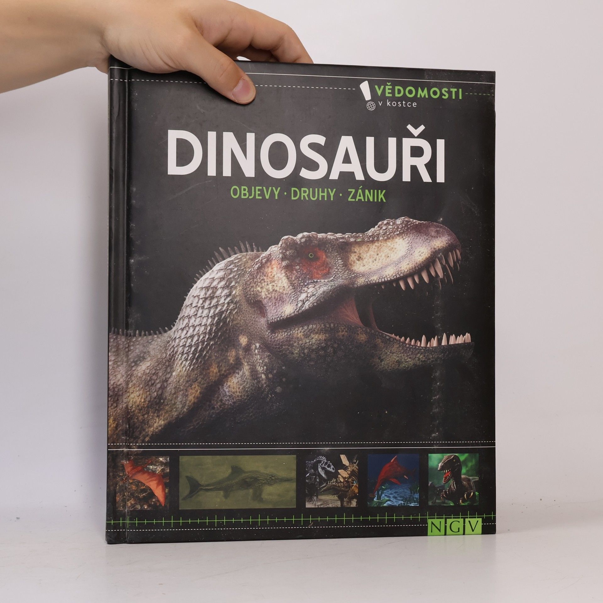 Kolektiv autorů Dinosauři