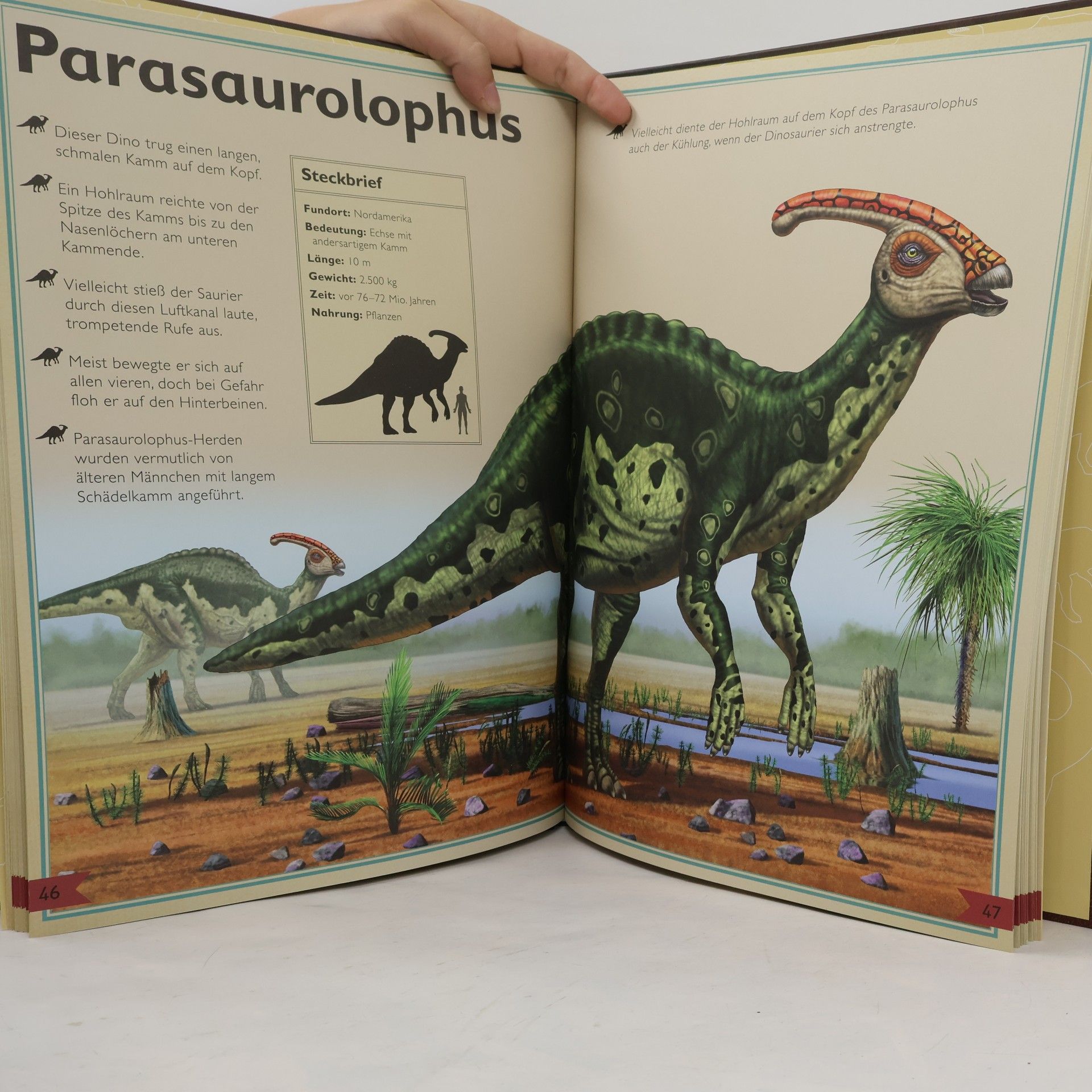 Rudolf Farkas Das Riesenbuch der Dinosaurier