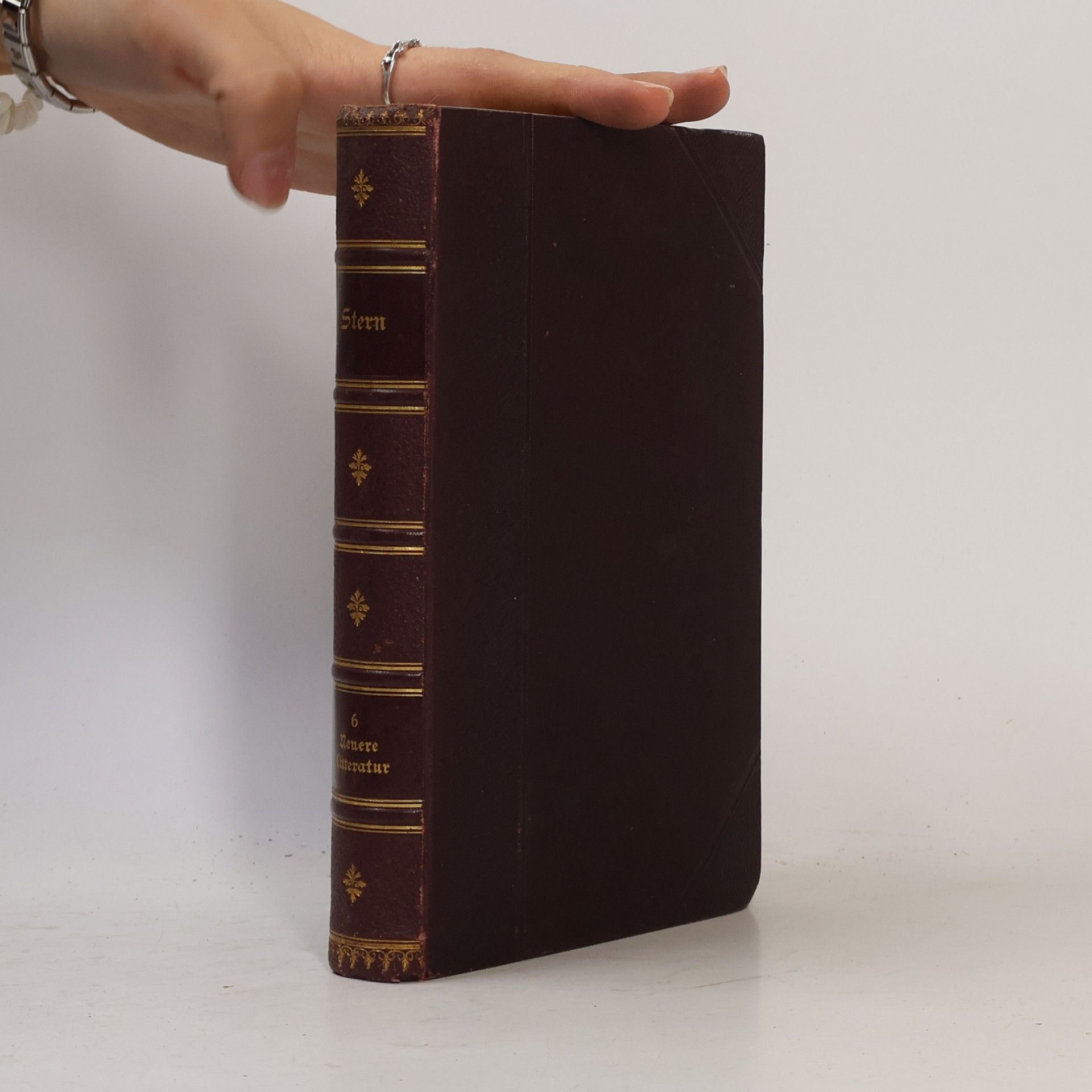 Adolf Stern Neuere Litteratur