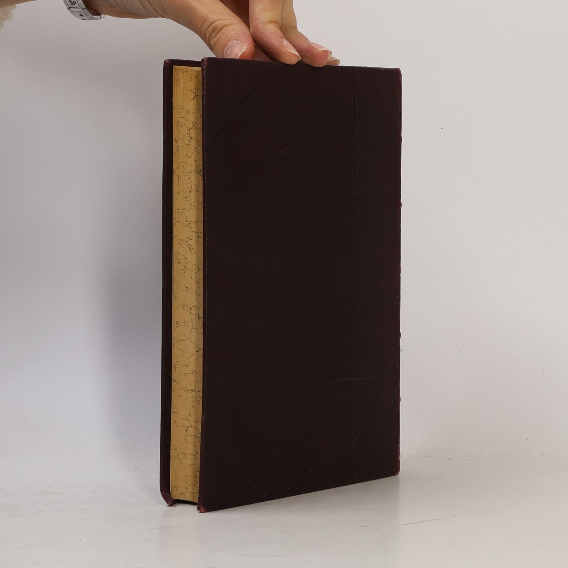 Stern Neuere Litteratur