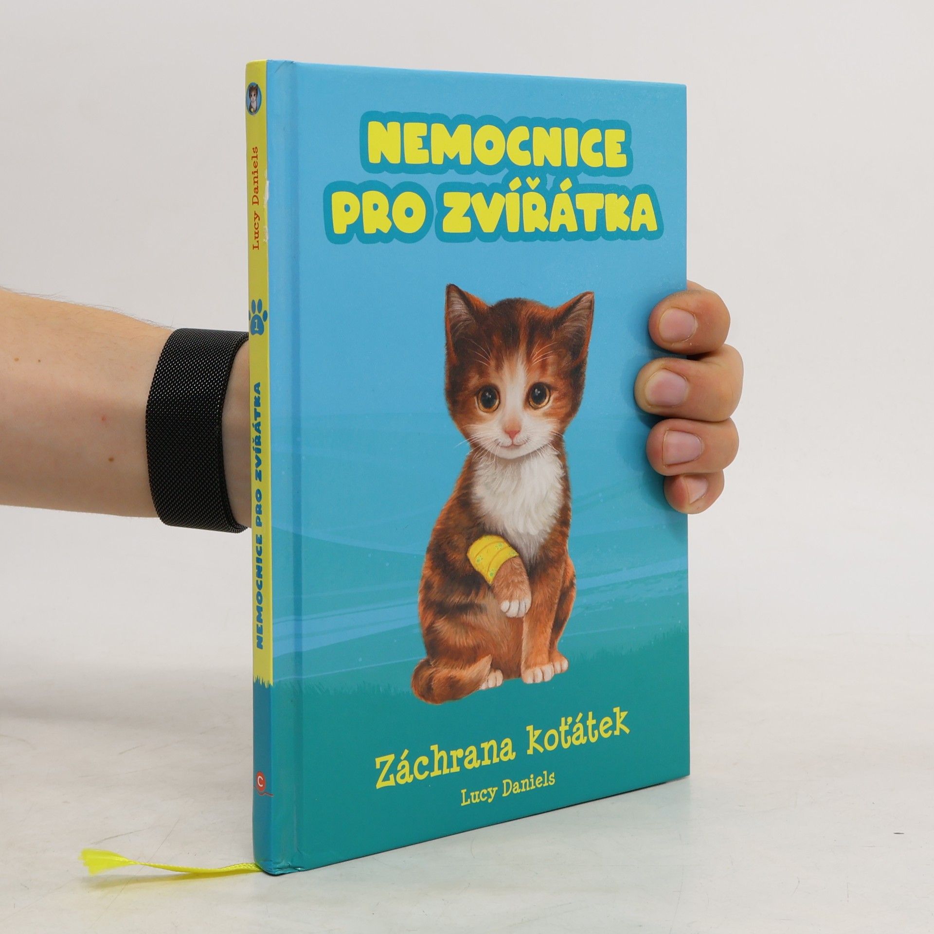 Lucy Daniels Záchrana koťátek