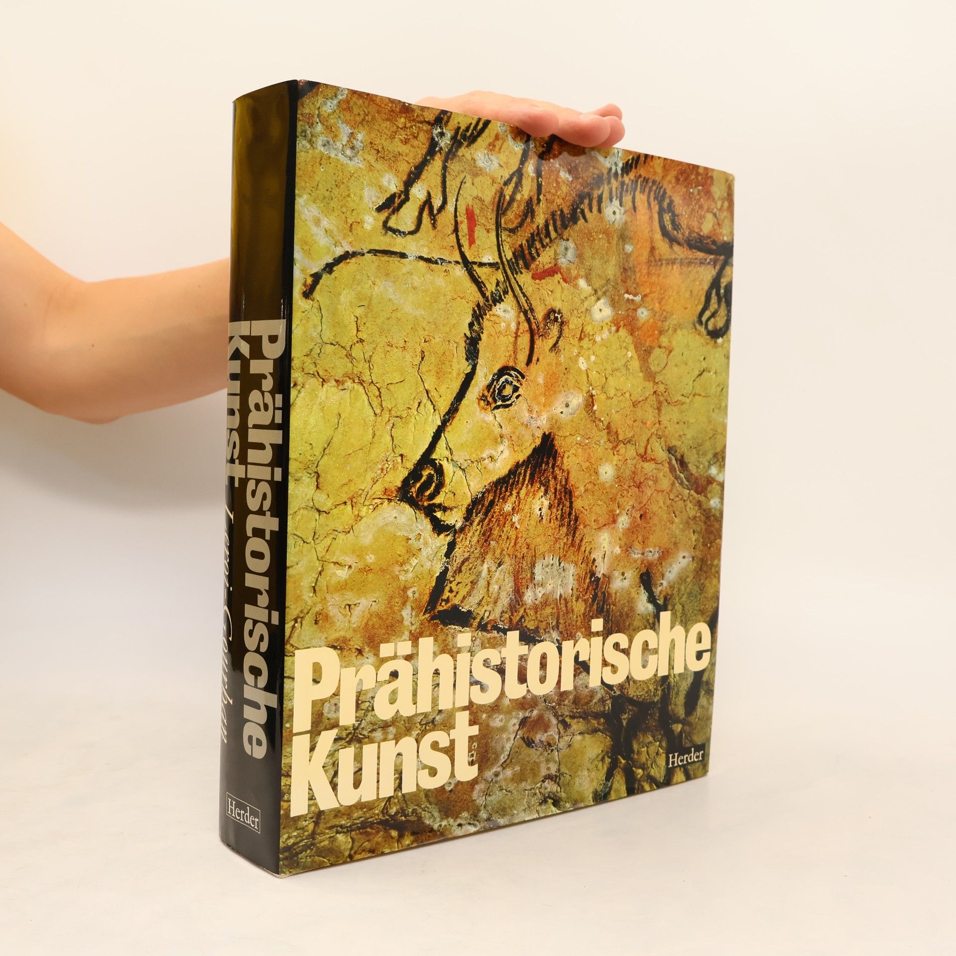 André Leroi-Gourhan Prähistorische Kunst